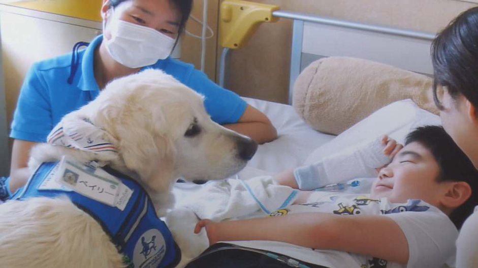 紀錄片《小結的治療犬》呈現人犬之間深刻的情誼。(公視提供)
