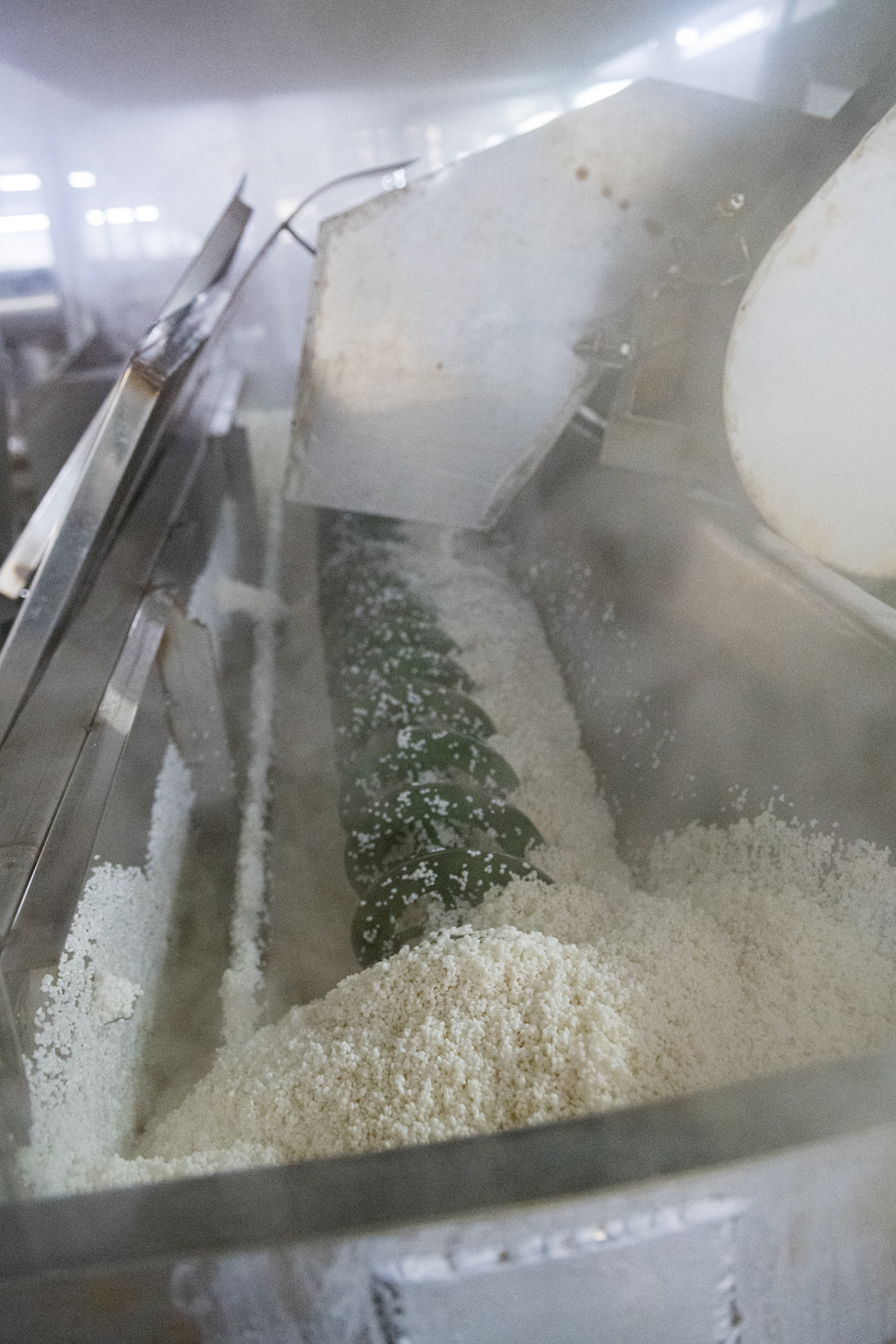 蒸好的米飯要外硬內軟、含適量的水分，澱粉必須完全糊化以供微生物利用。
