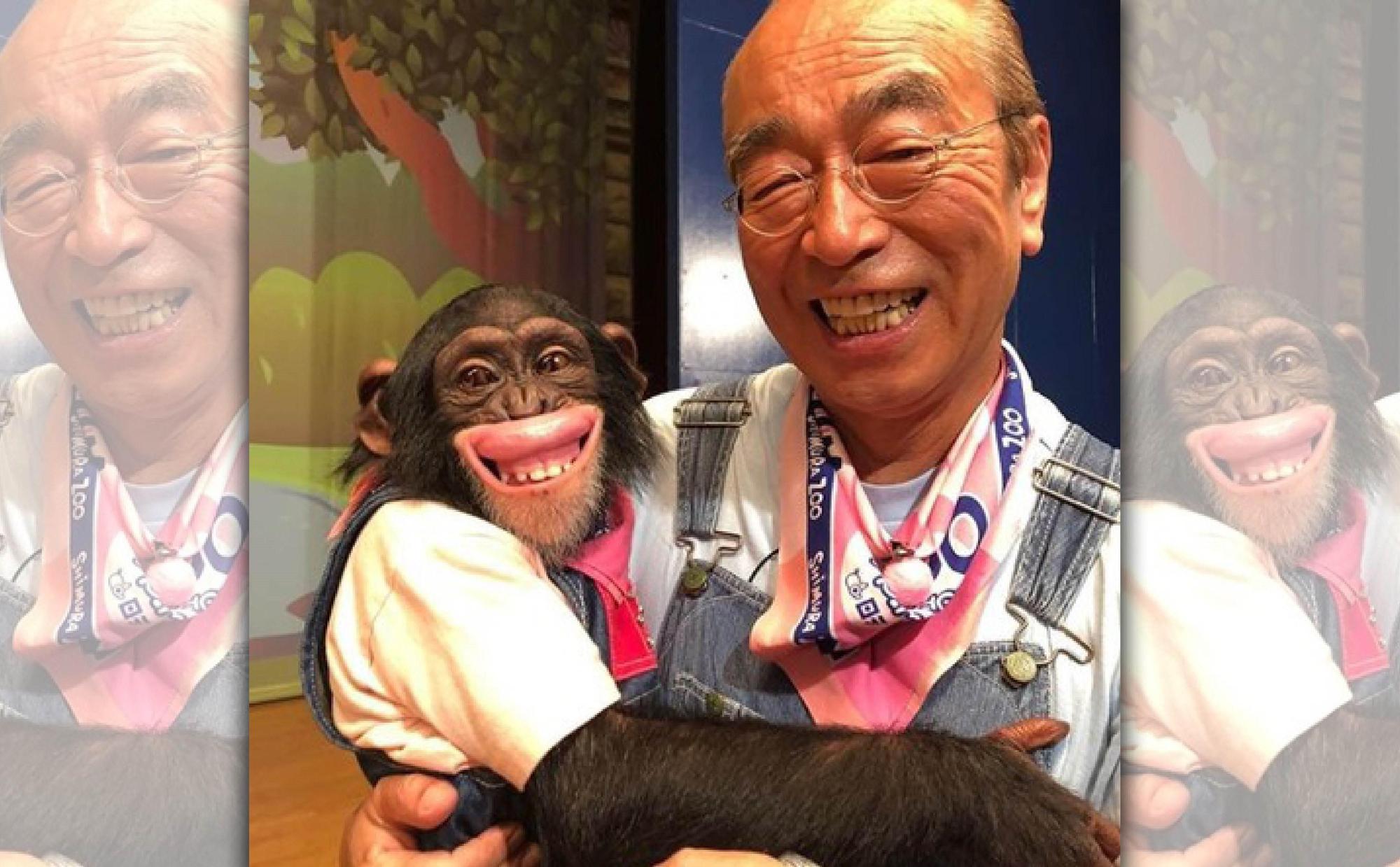 志村健和猩猩小龐互動深受觀眾喜愛。（翻攝自志村健IG）