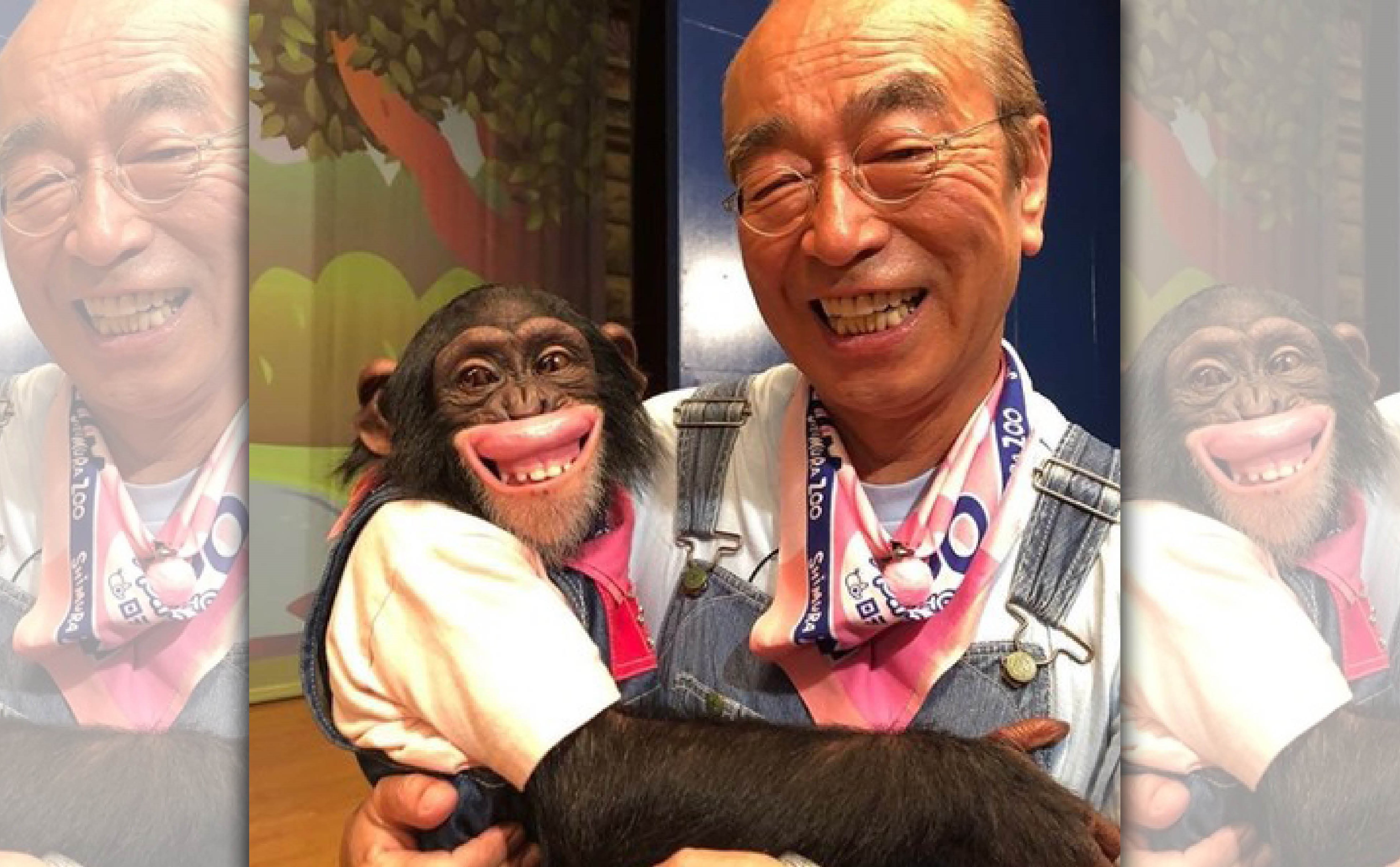 志村健和猩猩小龐互動深受觀眾喜愛。（翻攝自志村健IG）