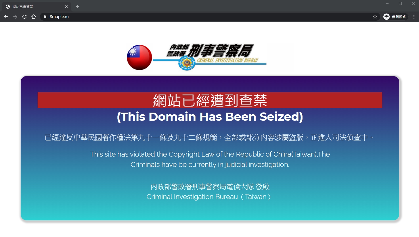 台灣知名盜版網站「楓林網」因刑事警察局偵辦查禁。（翻攝自楓林網（8maple.ru））
