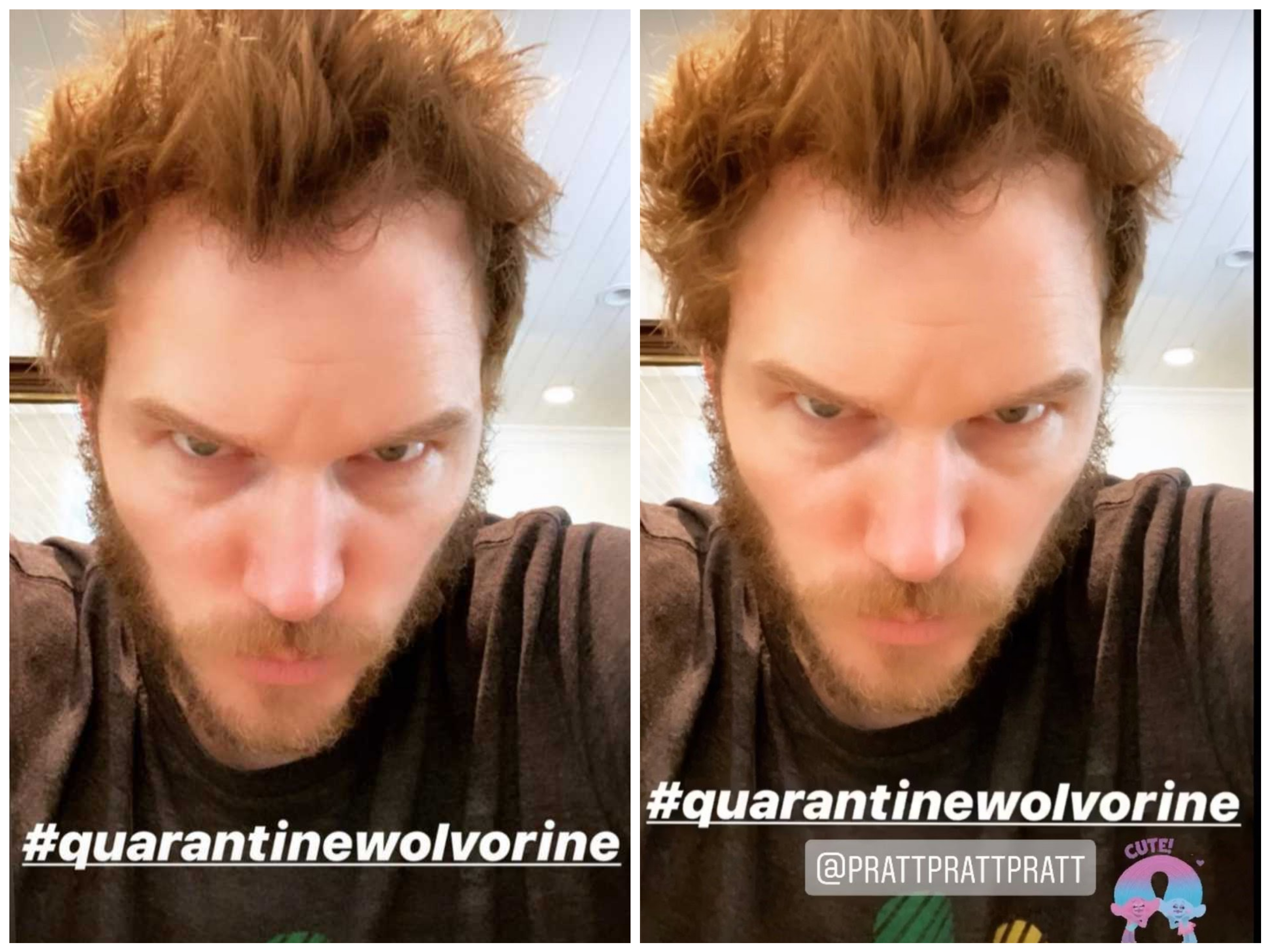 克里斯普萊特PO亂髮圖自稱「隔離中的金鋼狼」，釣出真正金鋼狼休傑克曼回應。（克里斯普萊特、休傑克曼IG）