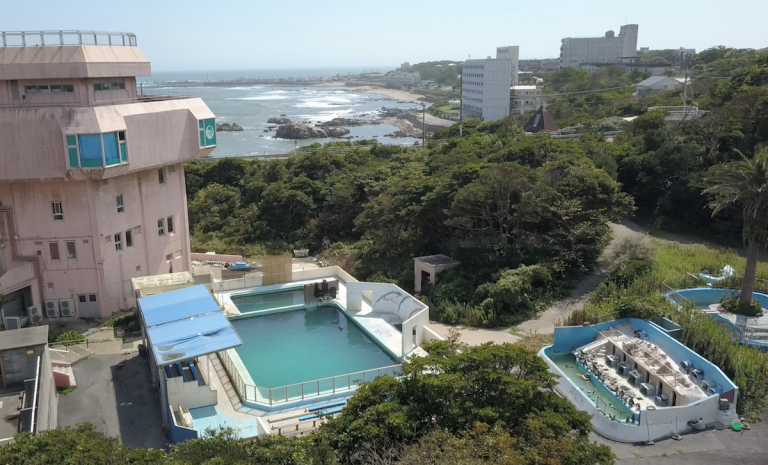 海豚「Honey」泰半生活在僅80平方公尺大的水池中。(Dolphin project官網)