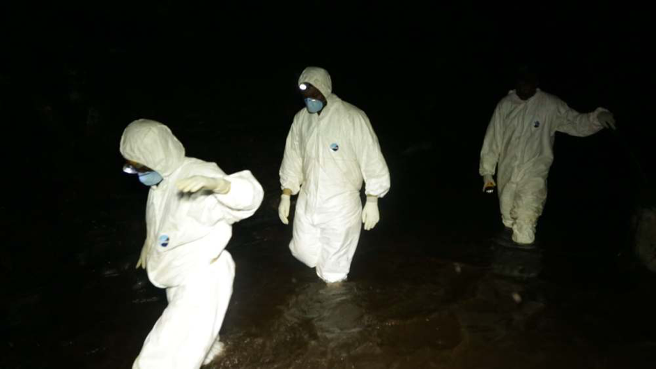 病毒研究者深入蝙蝠洞穴中，設下陷阱捕捉蝙蝠。（公視提供）