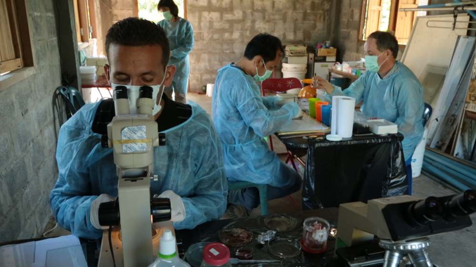 紀錄片《流行病：看不見的威脅》追溯病源危機，探討人類與環境的關係。（公視提供）