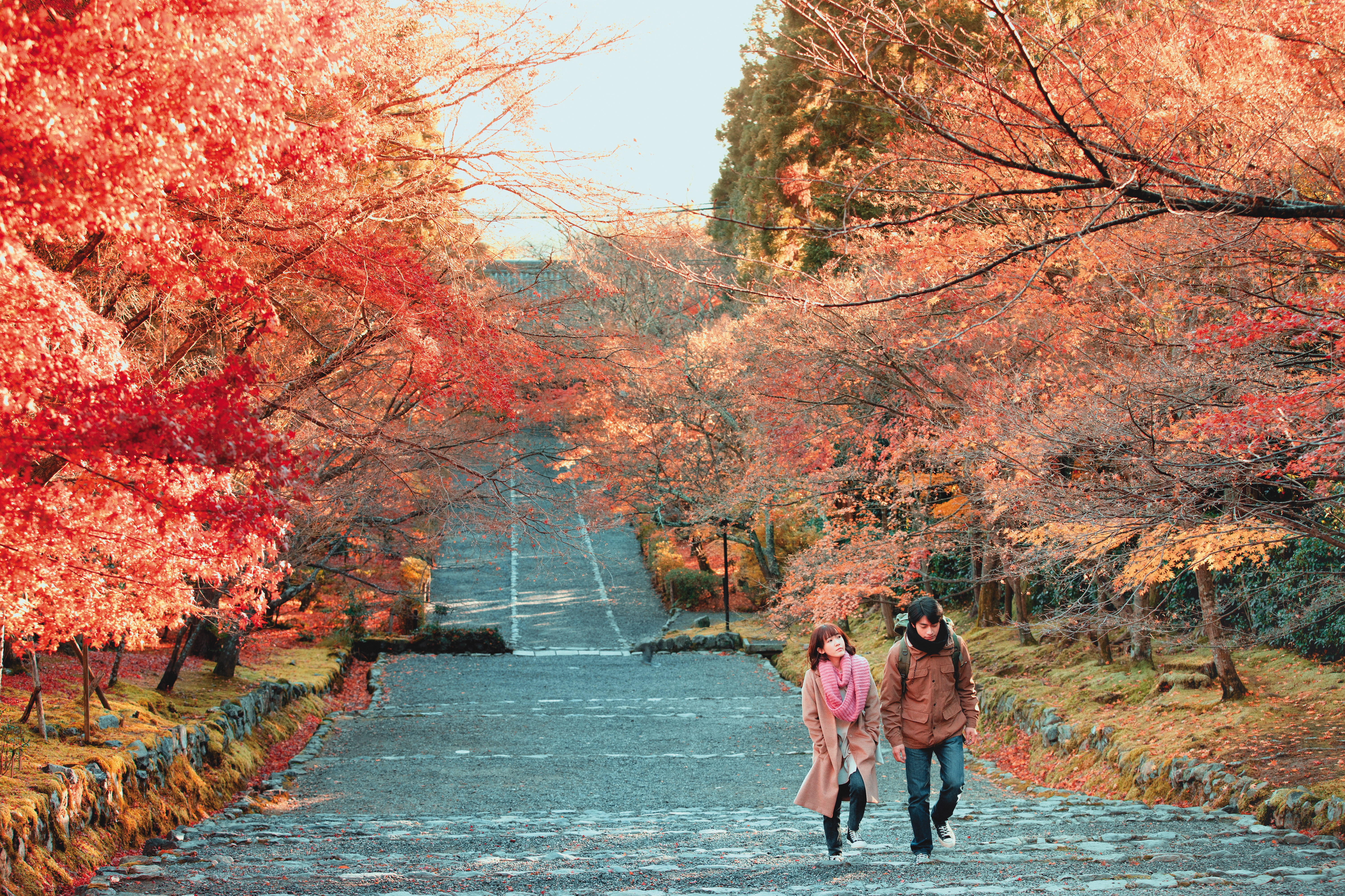 華視今年推出的自製台語劇《若是一個人》，打造充滿都會感的氛圍。（華視提供）