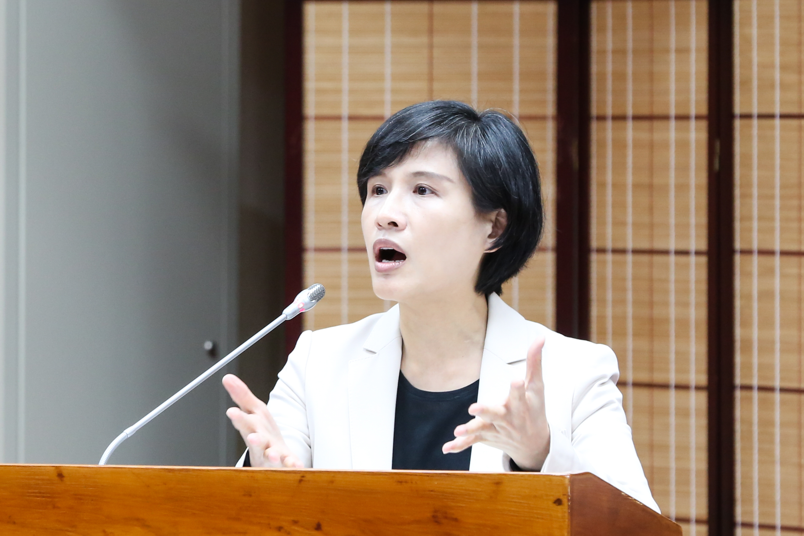 文化部長鄭麗君身家超過16億元。（本刊資料照）