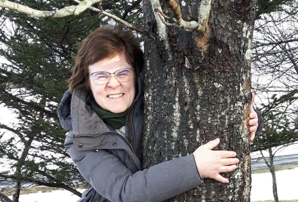 冰島的林業局鼓勵民眾在疫情期間可以去森林擁抱樹木。（翻攝自www.skogur.is/is）