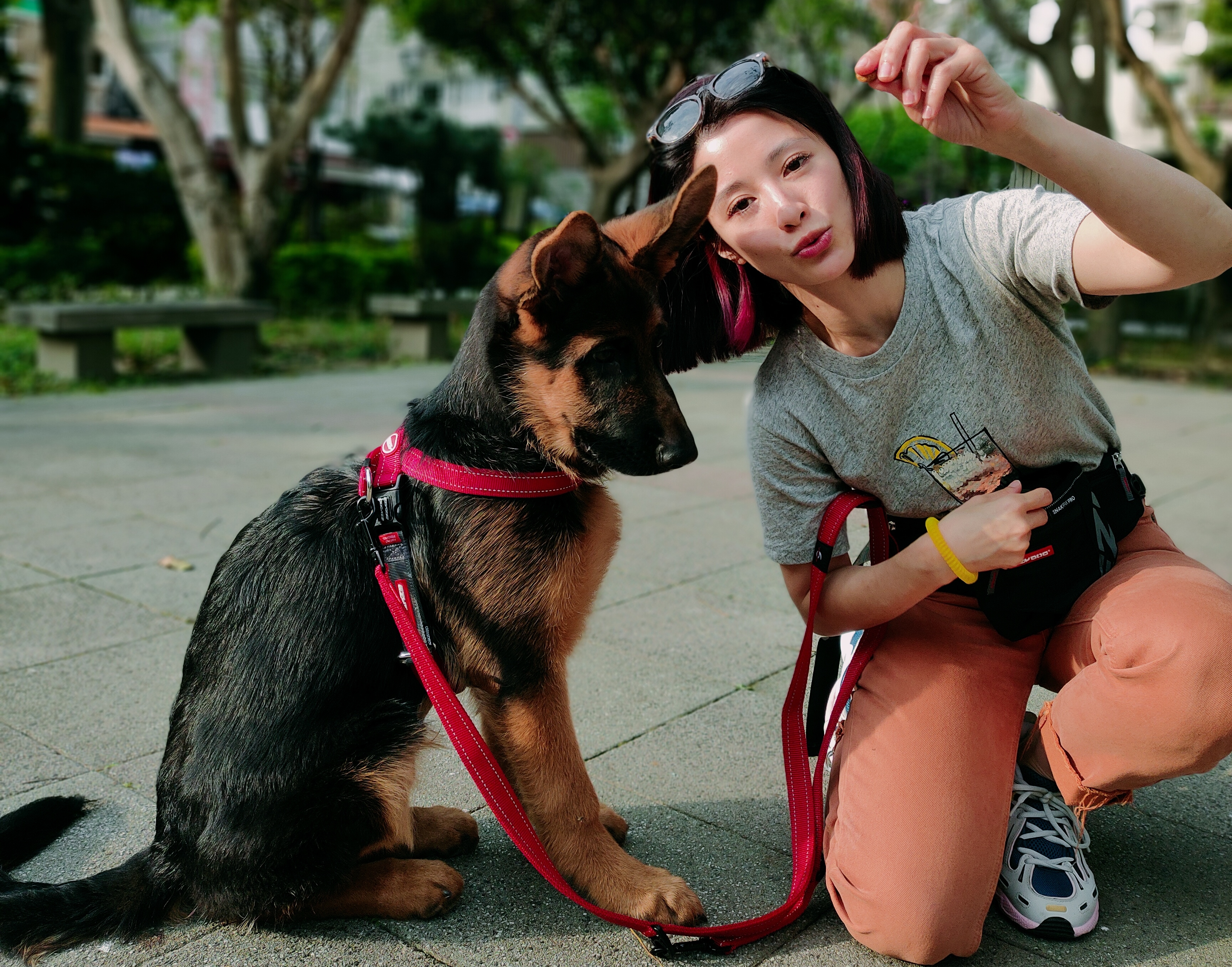 女星李蒨蓉最近飼養了4個月大的狼狗Wolfy，她除了親手把屎把尿，還每天出門遛狗6次。（李蒨蓉提供）