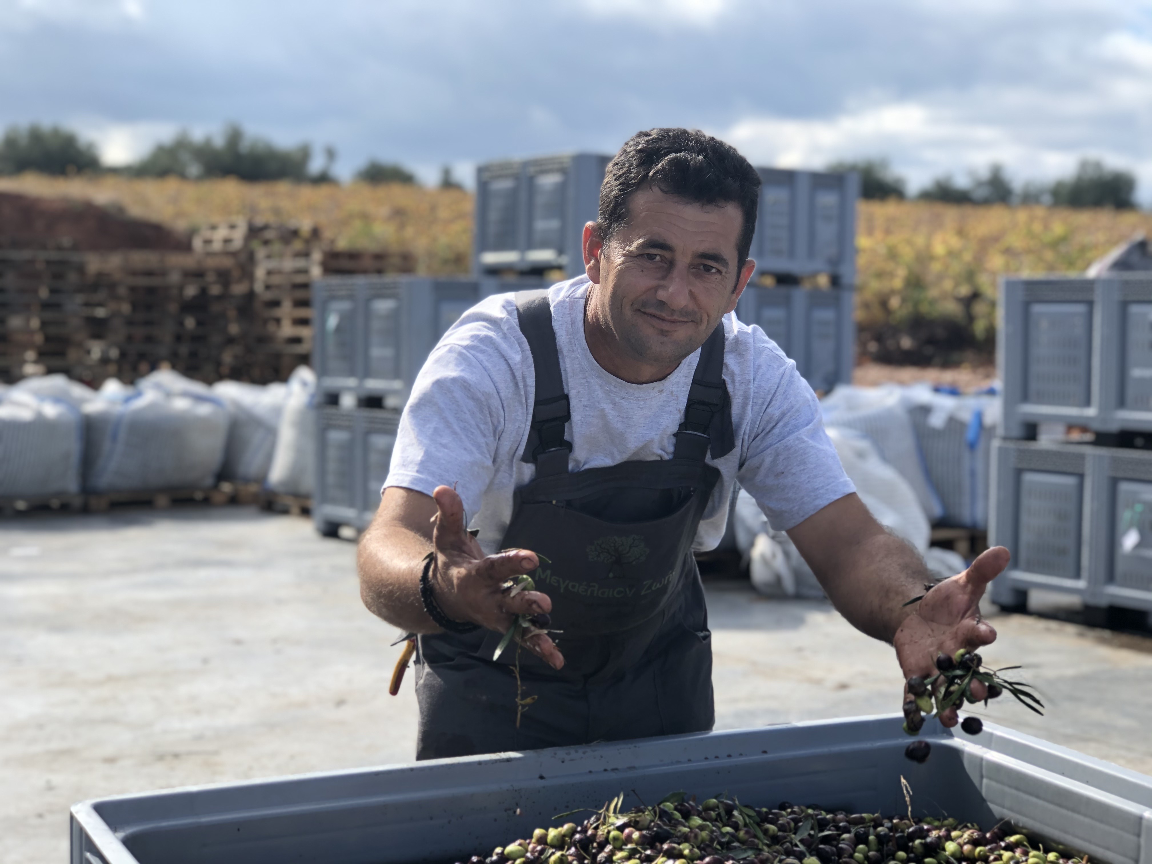 希臘是人均消費最多橄欖油的國家。