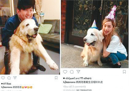 林采薇2005年還未出道時曾和林俊傑交往,3年後分手,兩人還共同養了一隻黃金獵犬。
