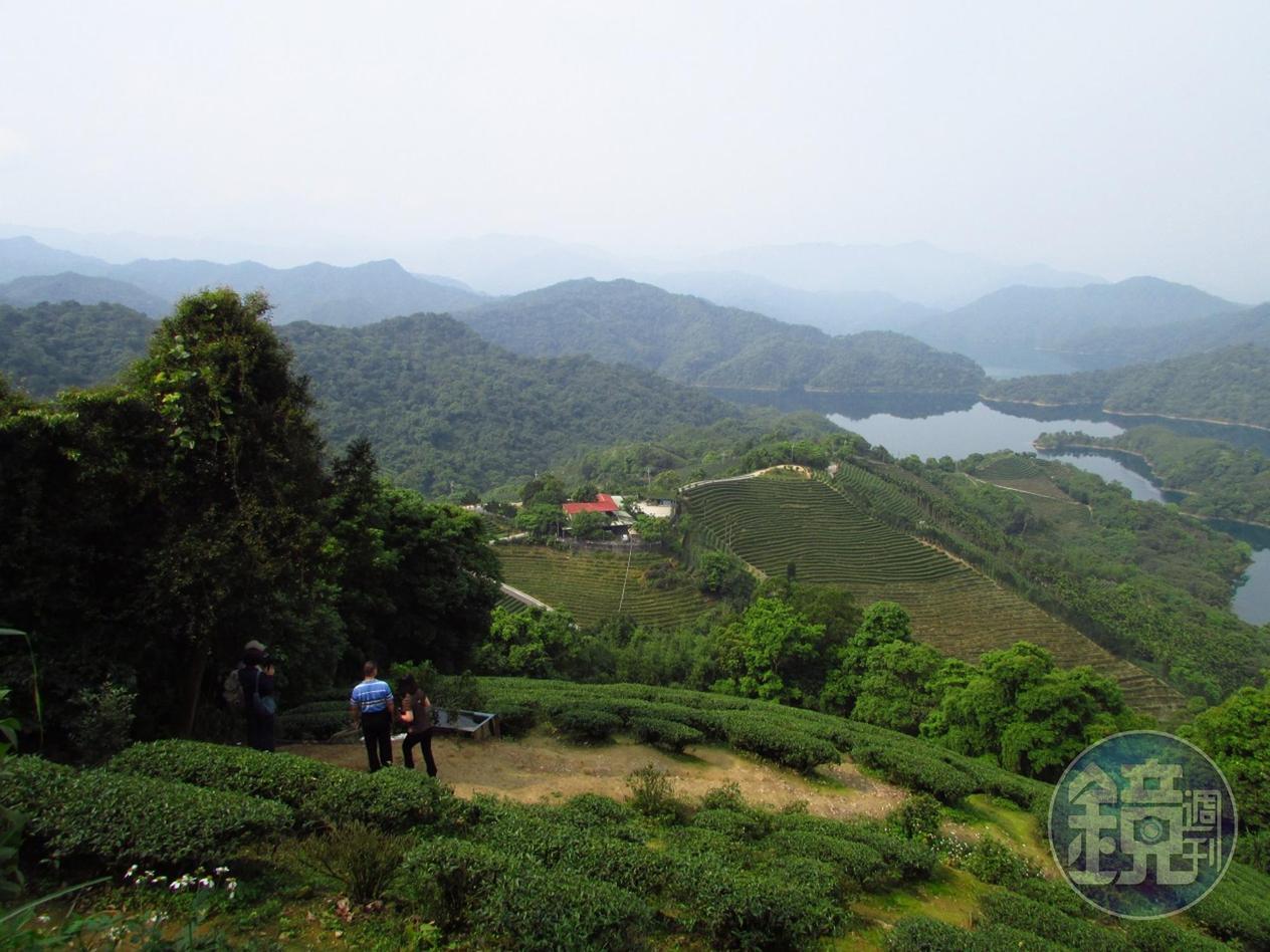 石碇有名的景點「千島湖」附近是美麗的茶園。