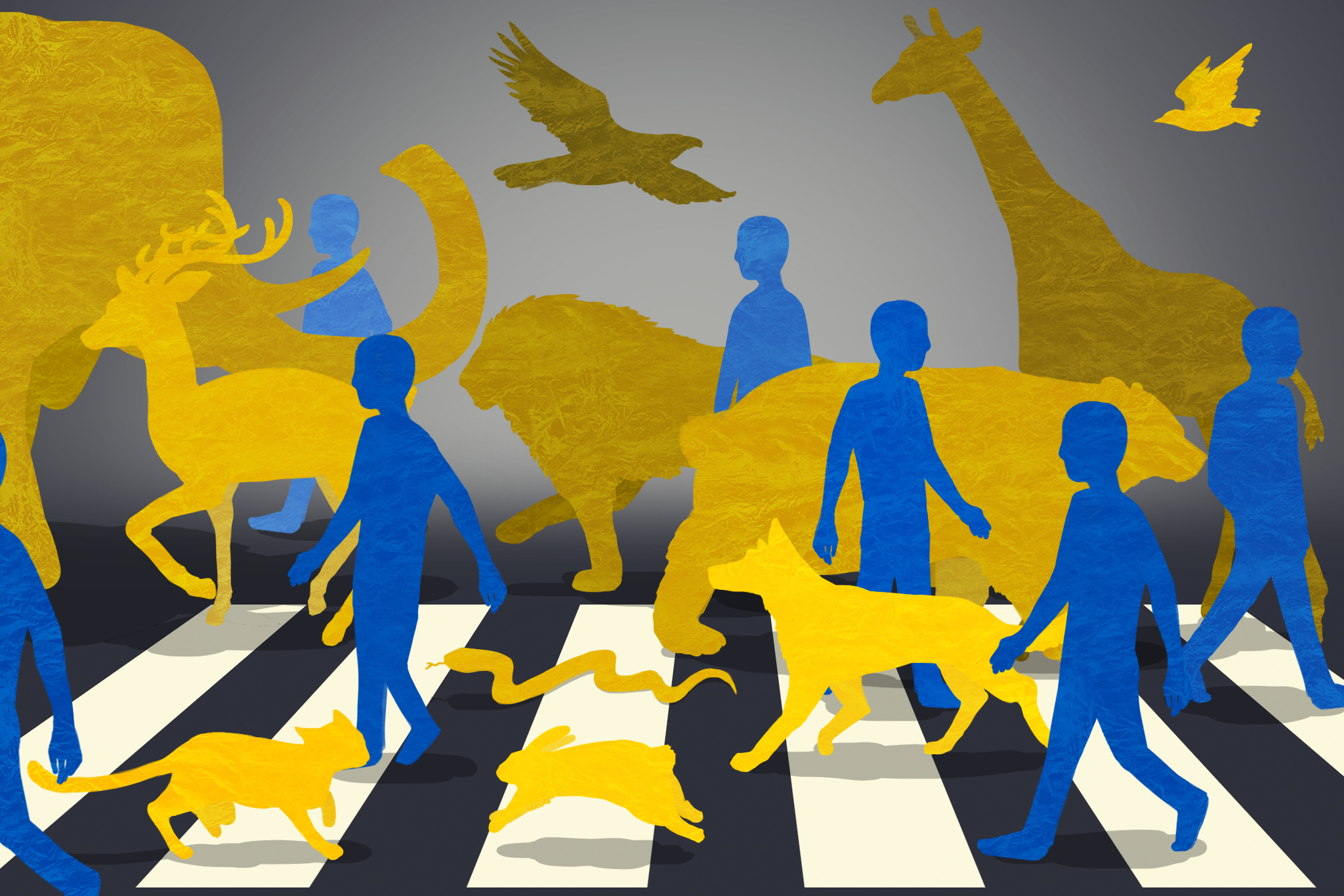 【黃宗潔書評　動物與環境：命運交織的共同體S01E00】通往自然的十個入口