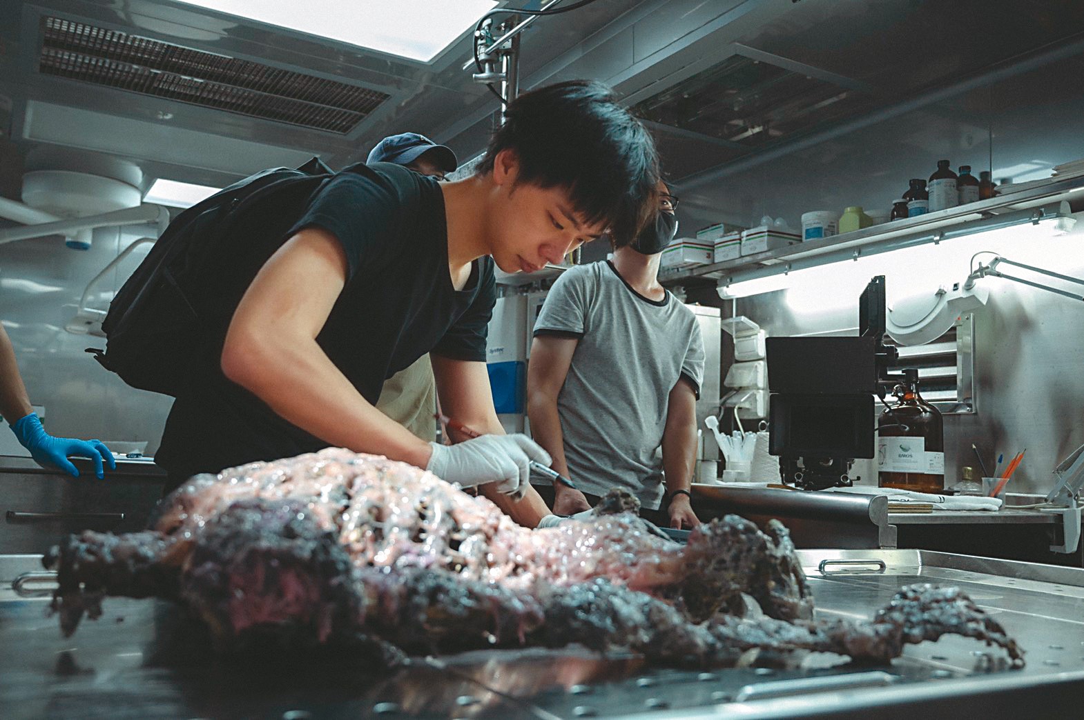 特效化妝儲榢逸（左）忙著在解剖台上修飾製作的溶屍。（瀚草提供）