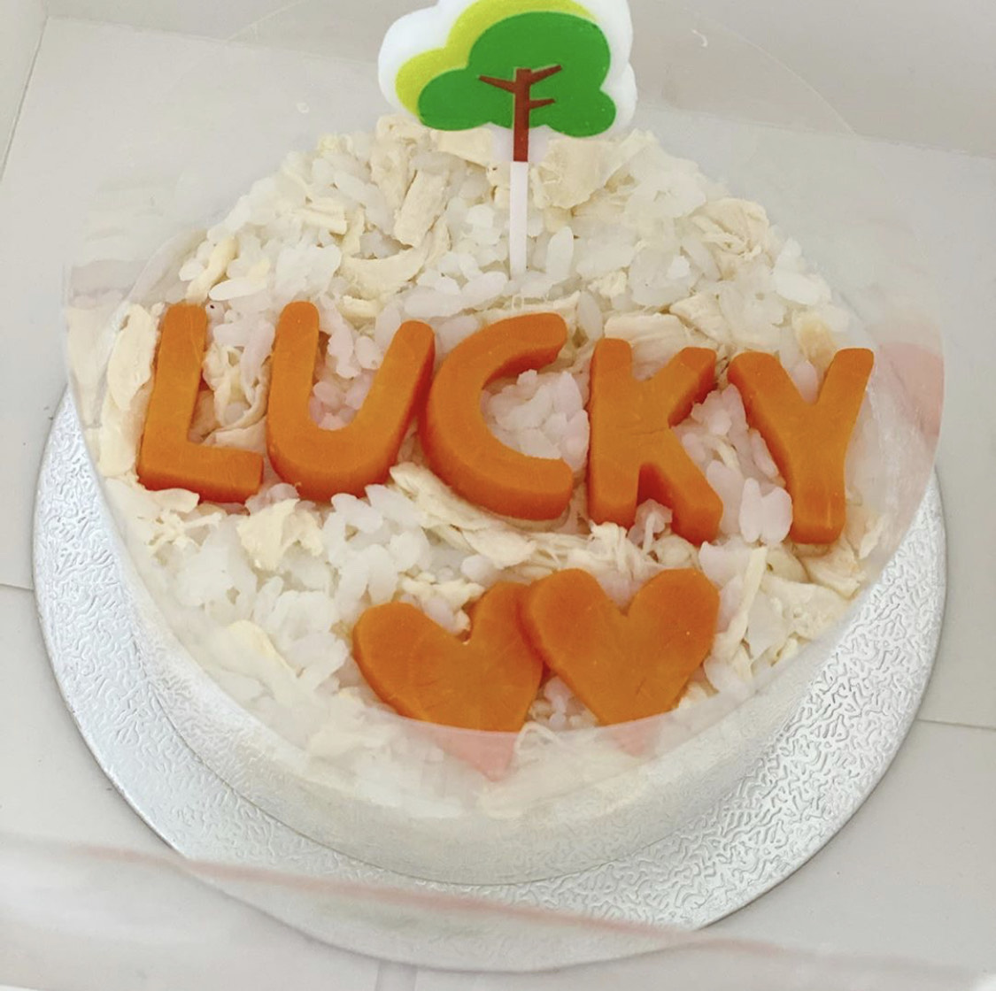 因為愛犬年老，所以鄭秀文用一個雞肉做的蛋糕來為Lucky慶祝。（翻攝自鄭秀文IG）