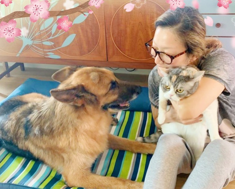 鄭秀文的愛犬Lucky昨（29日）15歲生日，她抱著愛貓以一家三口照片來為愛犬慶生。（翻攝自鄭秀文IG）