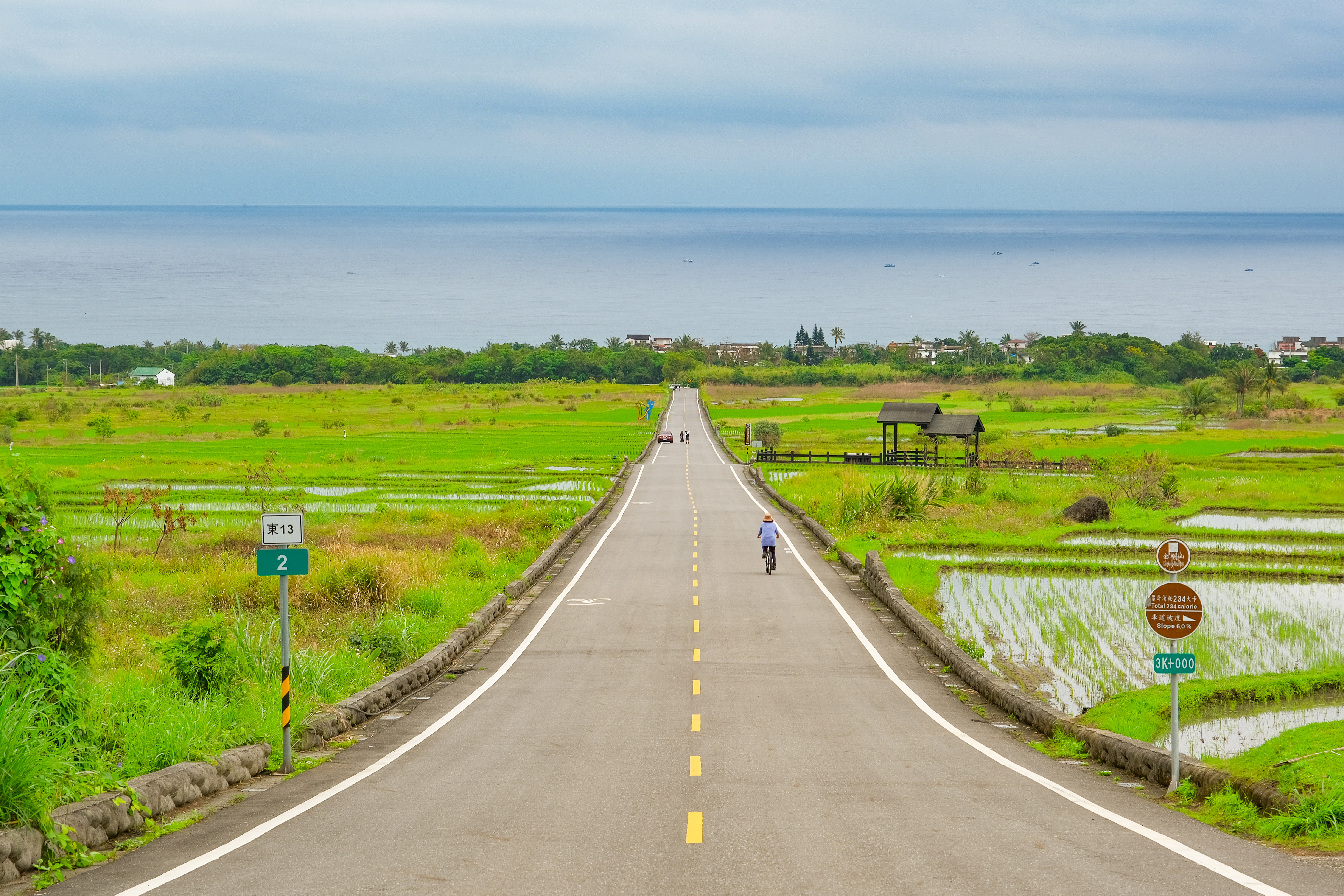 東13縣道，一路筆暢的通往太平洋，在這騎著自行車好不浪漫。