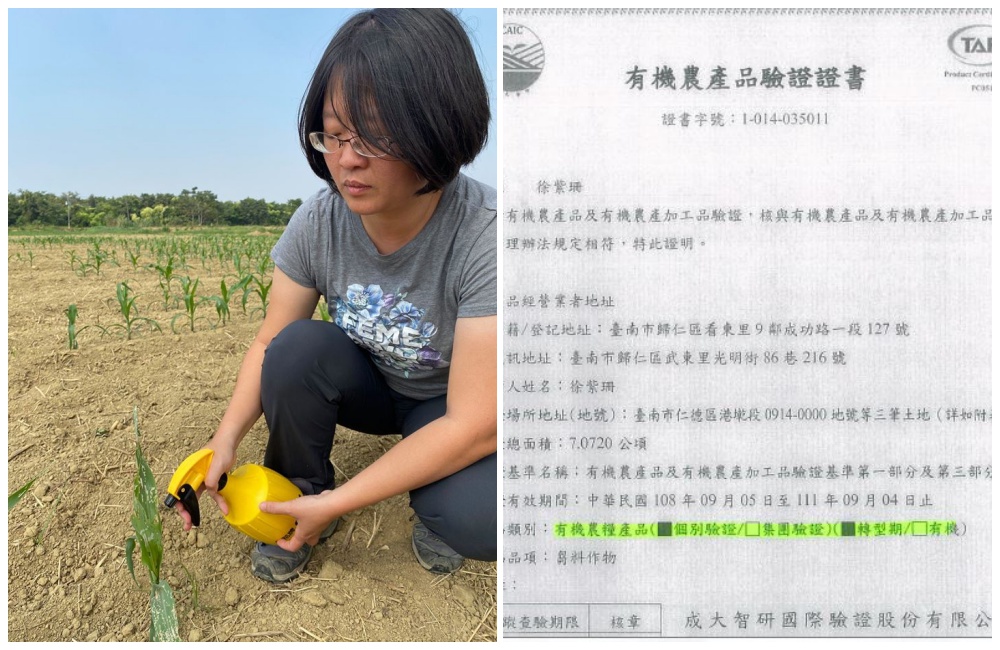 徐紫珊公布的有機認證書,剛好讓她露餡,證書顯示,該農場餵雞的芻料,僅取得「轉型中」認證。(左圖翻攝臉書、右圖讀者提供)