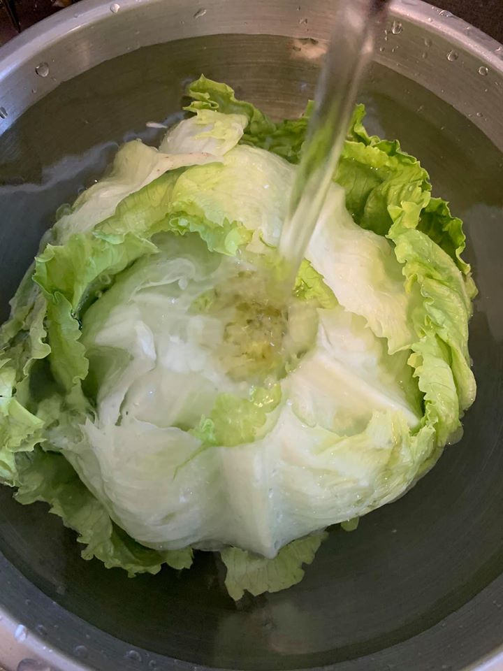 從切開的蒂頭處沖水,便會看到生菜如花瓣展開。