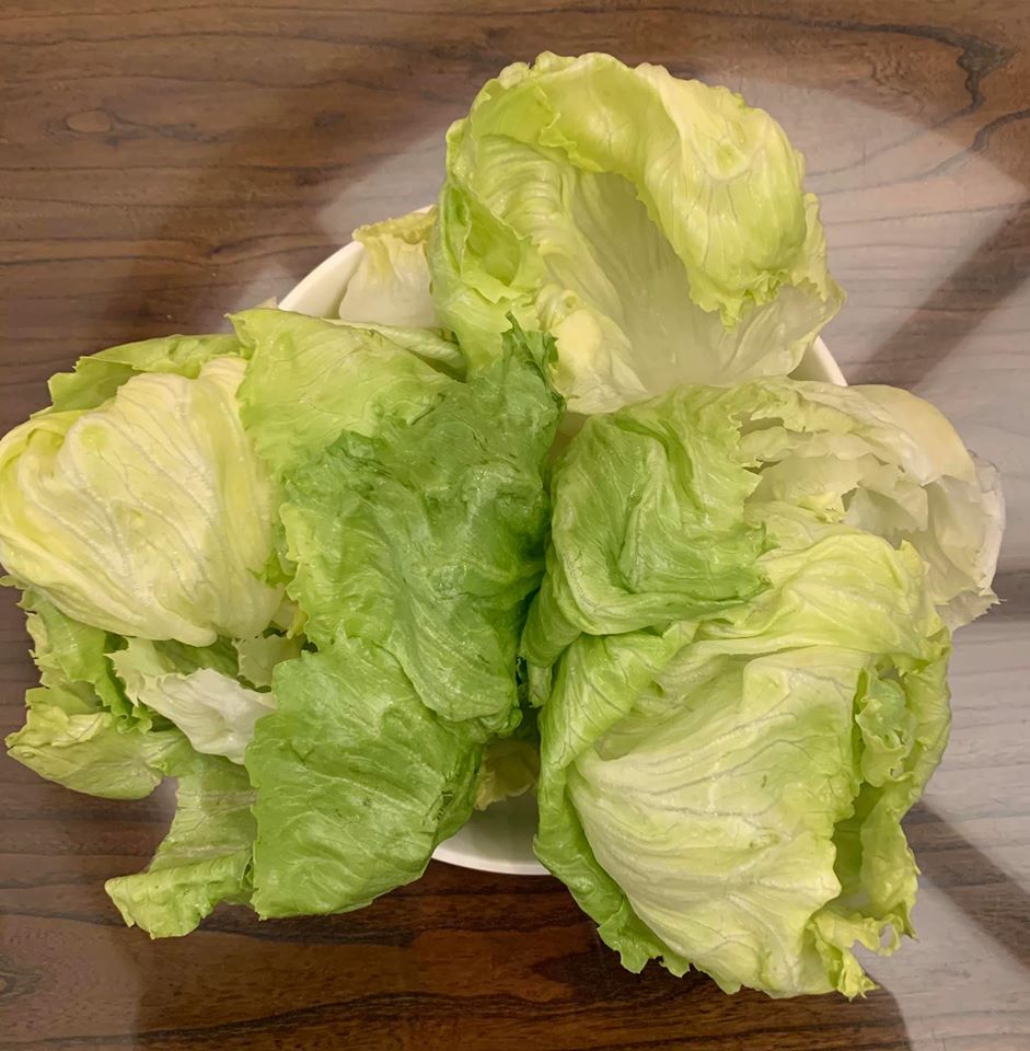 脫去水分後的生菜葉,青翠可口。