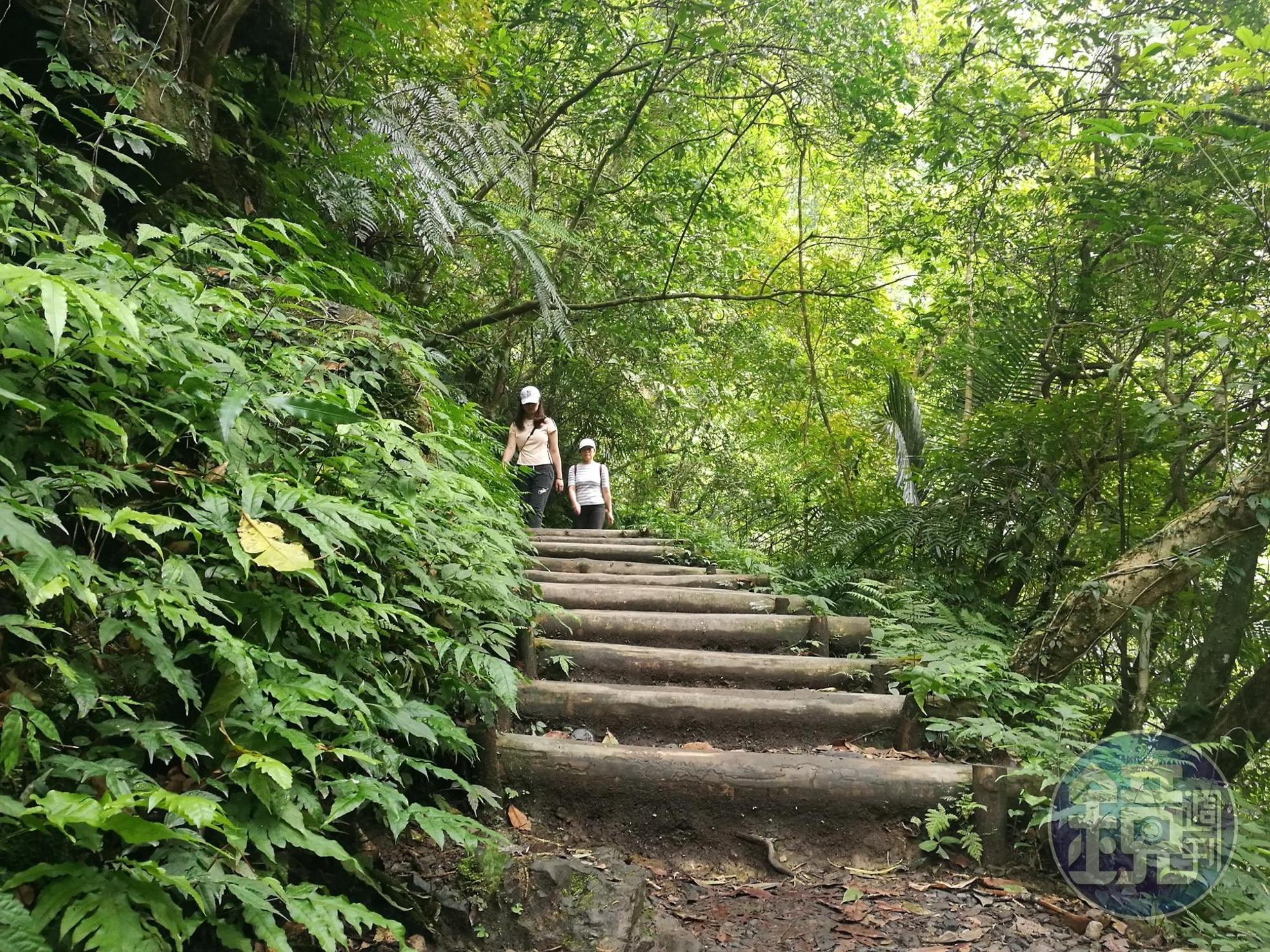 部份路段出現陡坡,路面濕滑得小心行走。
