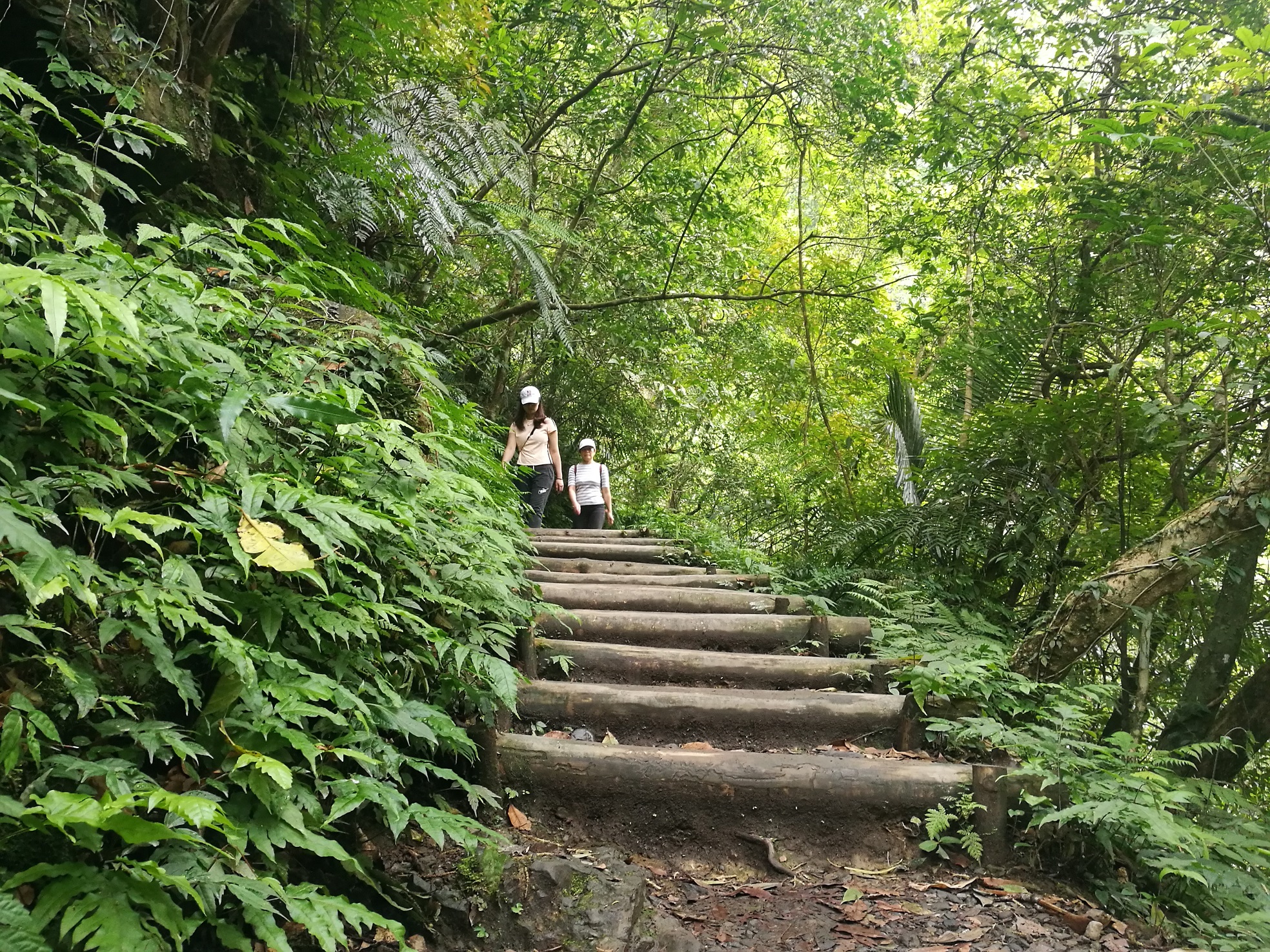 部份路段出現陡坡，路面濕滑得小心行走。