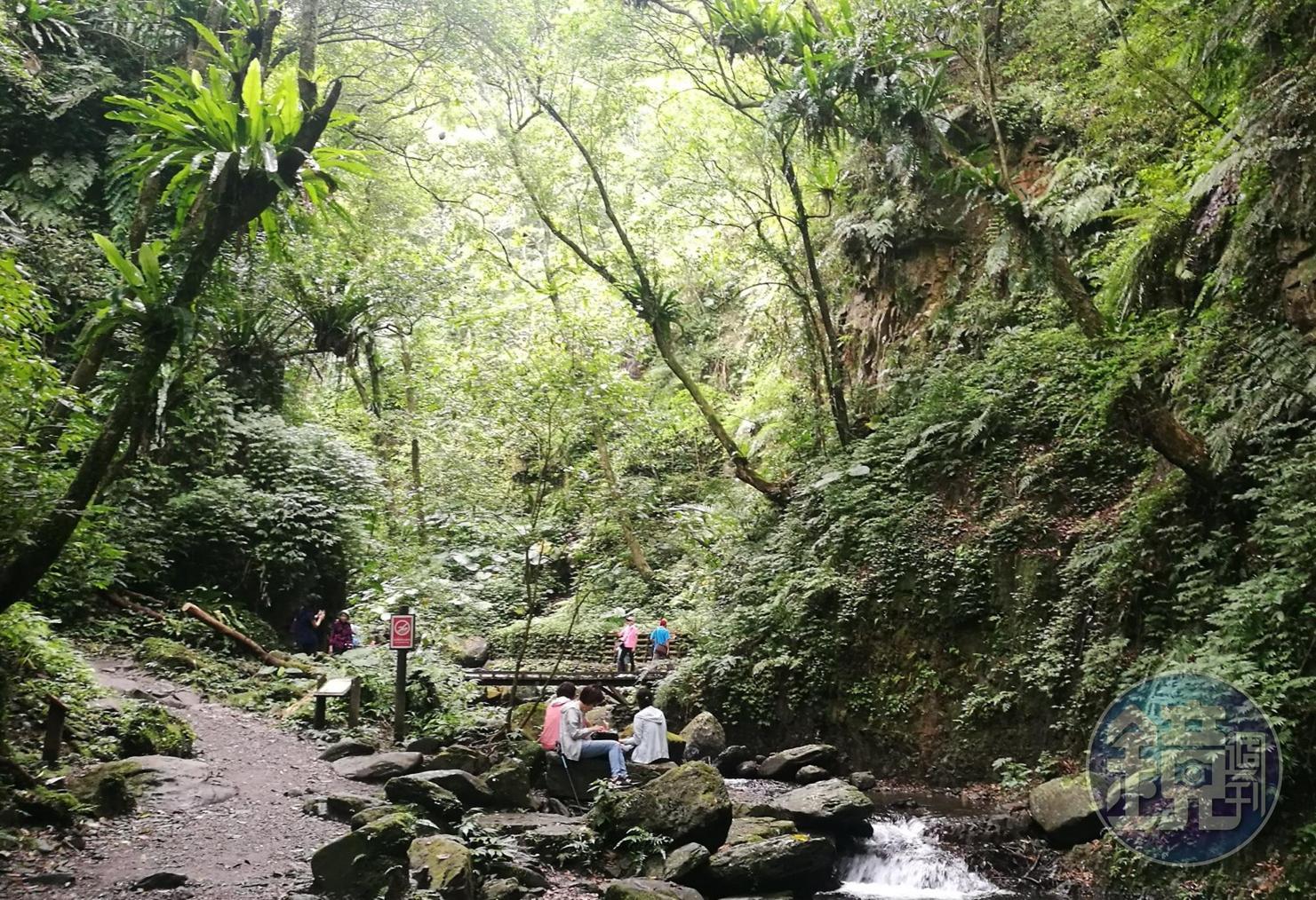 「林美石磐步道」中的U型峽谷,被形容為「宜蘭小太魯閣」。