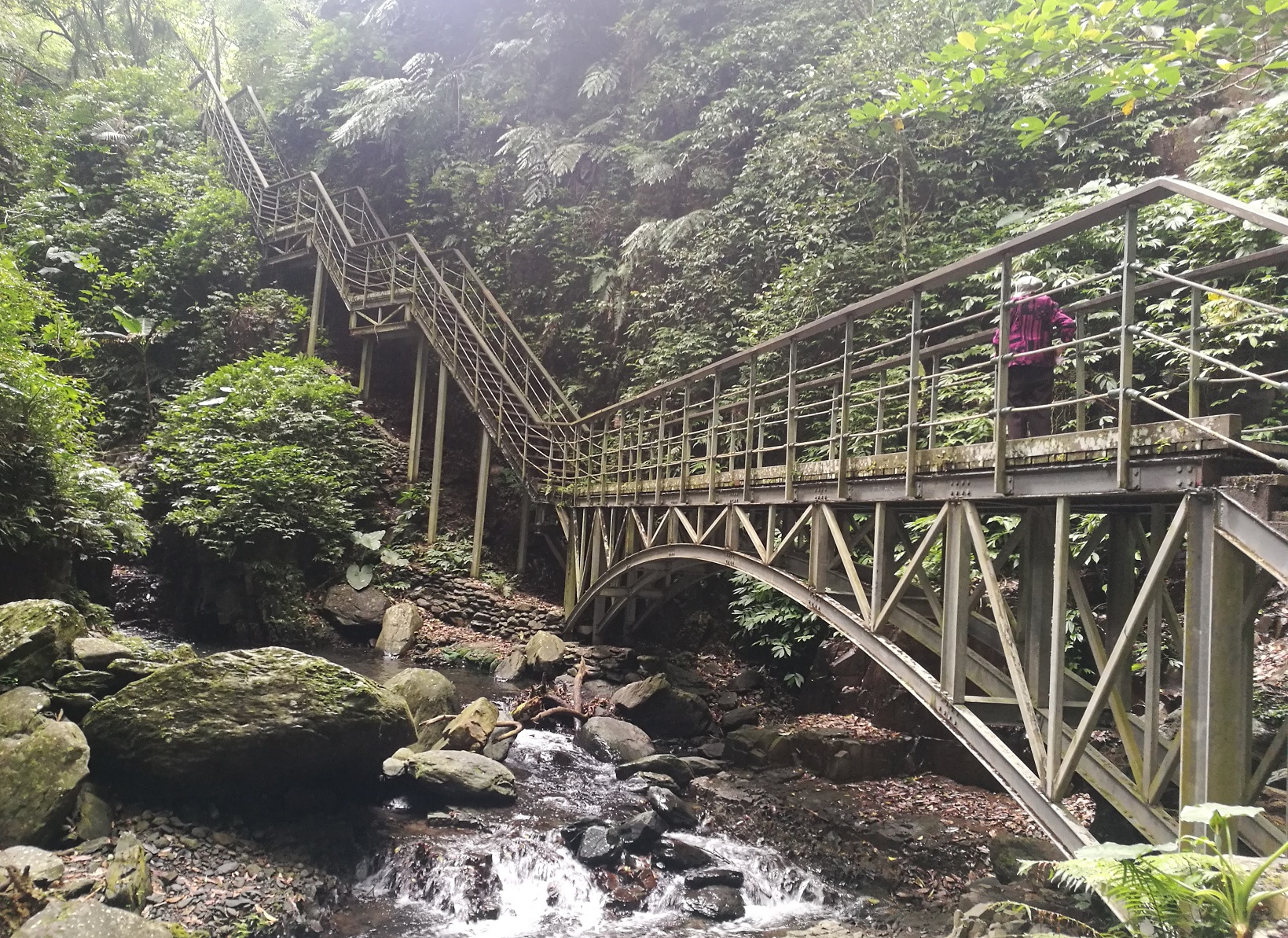 步道中段，最考驗腳力的「天梯」。