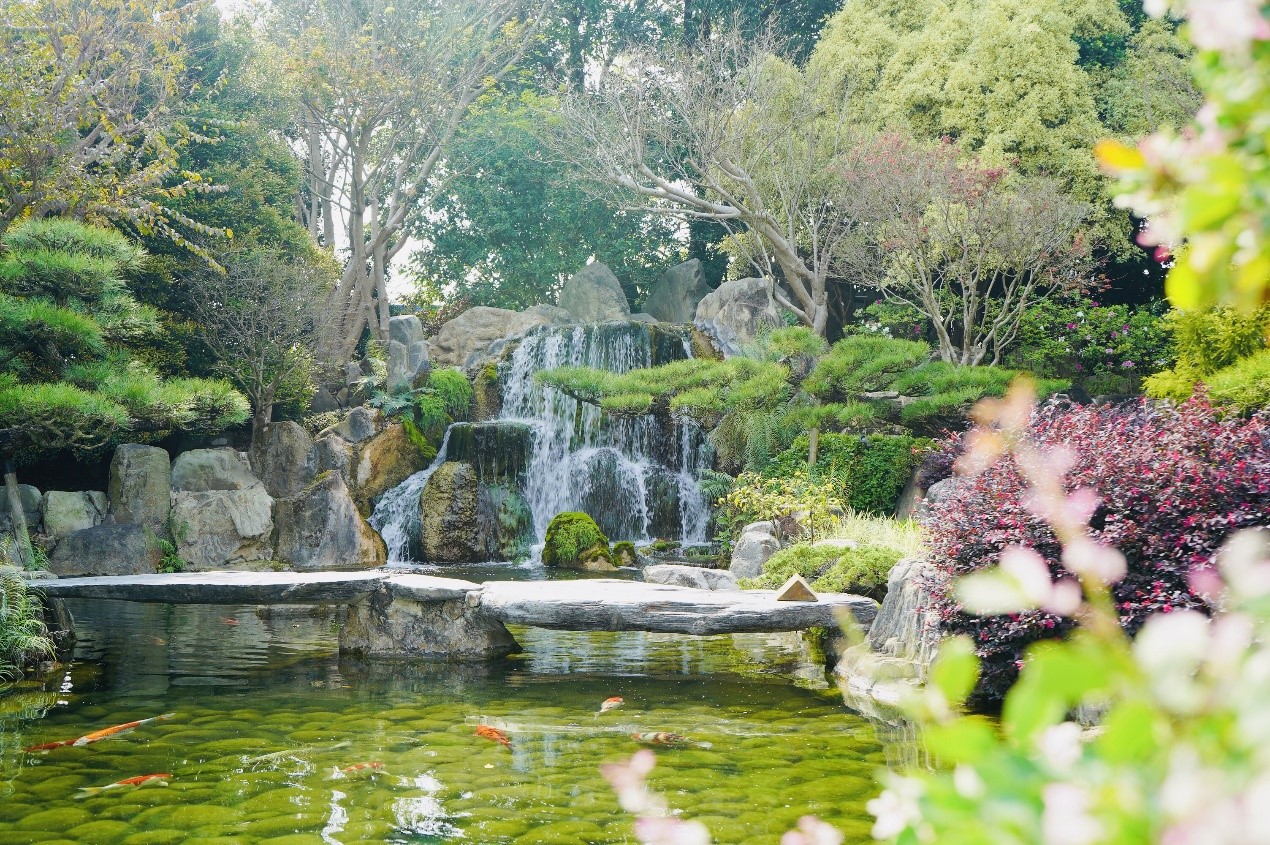 五一連假，成美文化園是防疫新生活運動的好去處。（成美文化園提供）