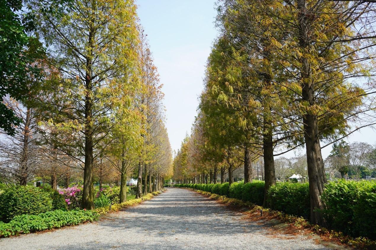 五一連假,成美文化園是防疫新生活運動的好去處。(成美文化園提供)