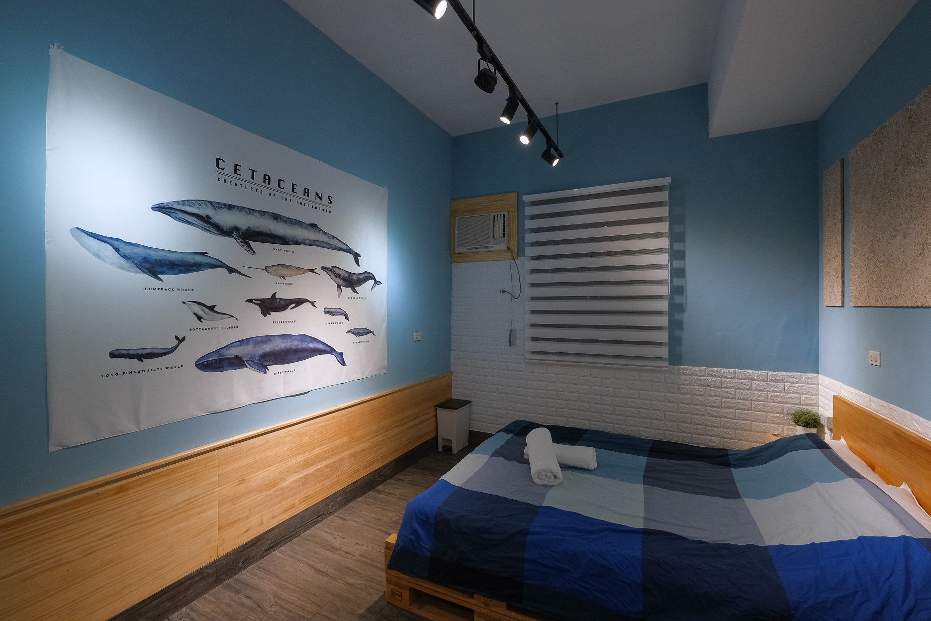 雙人床以藍色調為主題，很有海洋氣氛感。