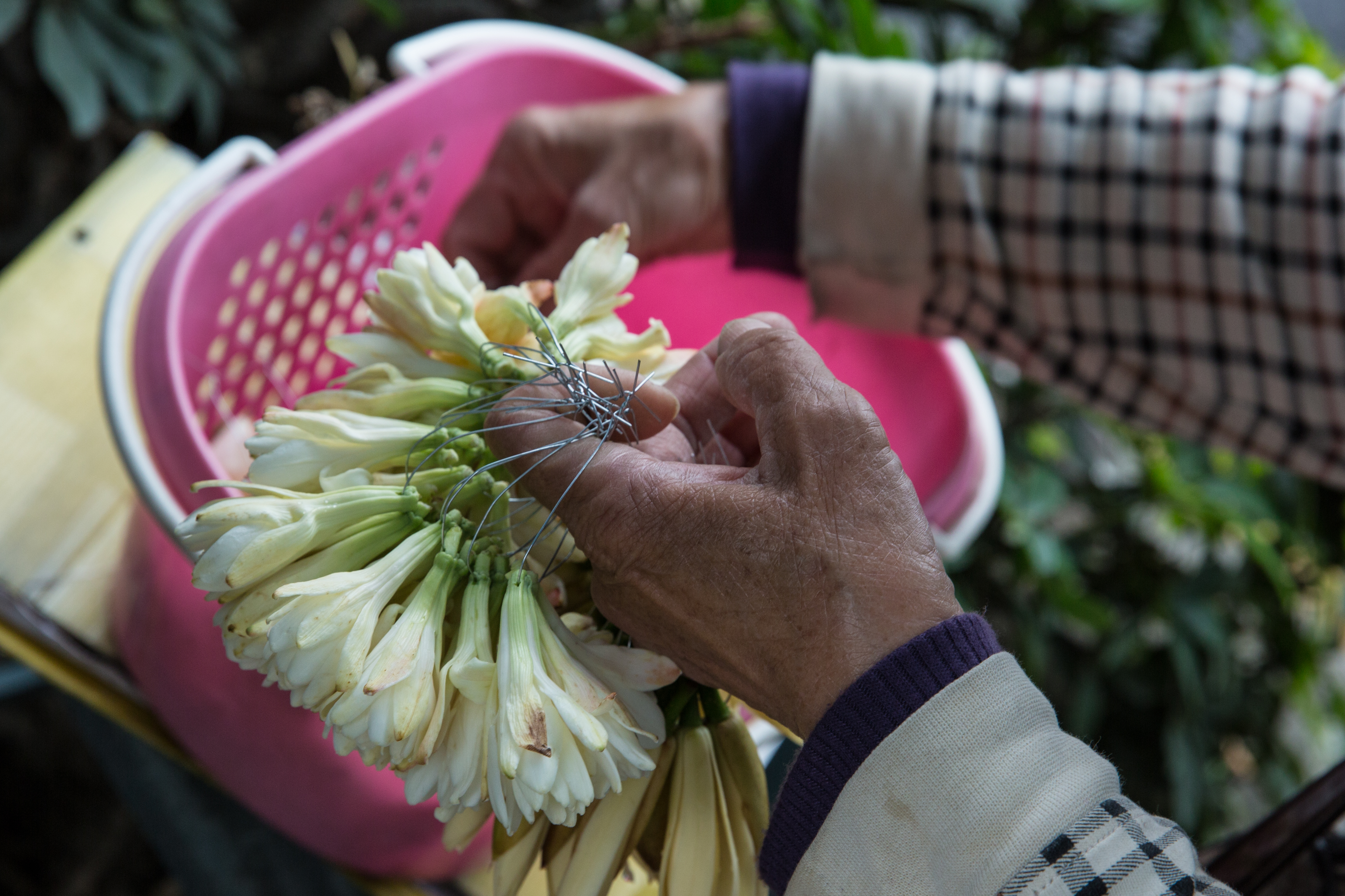 賣玉蘭花的小販也可申請補助，意外讓玉蘭花被眾人搶購。（本刊資料照）