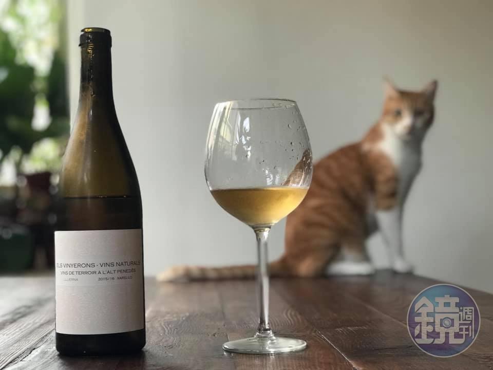 帶有春夏植物新鮮氣息的「Els Vinyerons Vins Naturals, Lluerna, Penedés Spain, 2015/16 」,酸度透亮,乾淨不甜。(50/45 Winehaus,價格請洽店家)