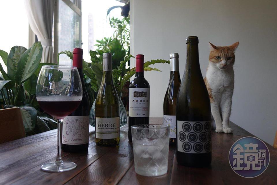 因應防疫在家工作,有酒有喵,很可以。(50/45 Winehaus,酒款及價格請洽店家)