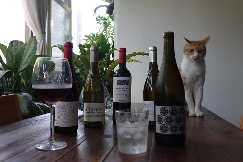 因應防疫在家工作，有酒有喵，很可以。（50/45 Winehaus，酒款及價格請洽店家）
