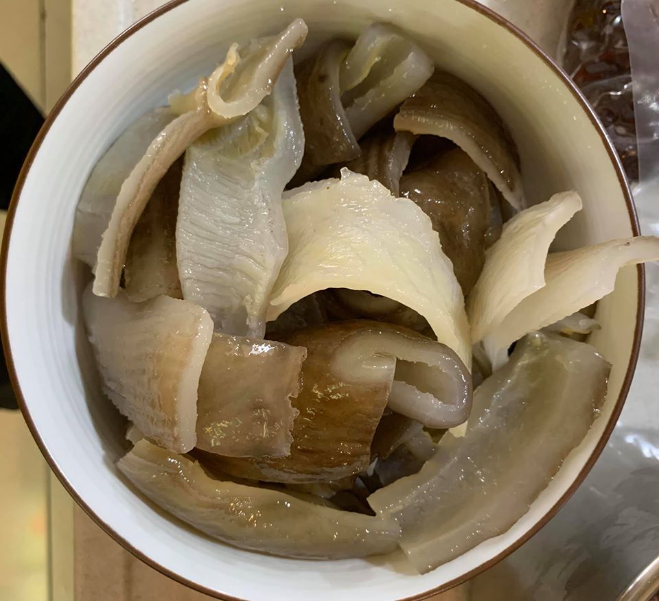 鯊魚皮是膠質的來源。