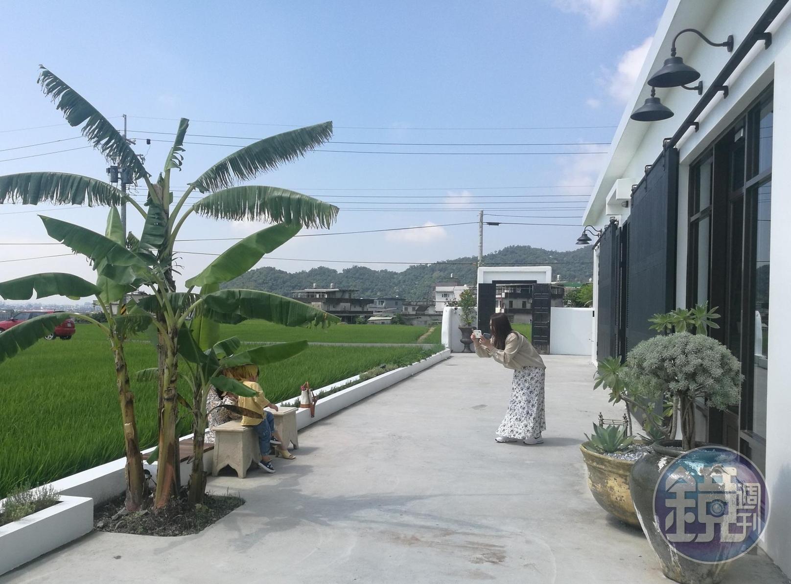 令人舒心的田園風景，吸引遊客們開心拍照。