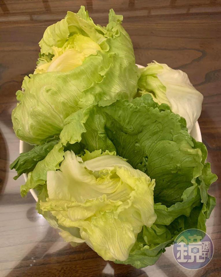 剝好後,脫去水分的生菜葉。