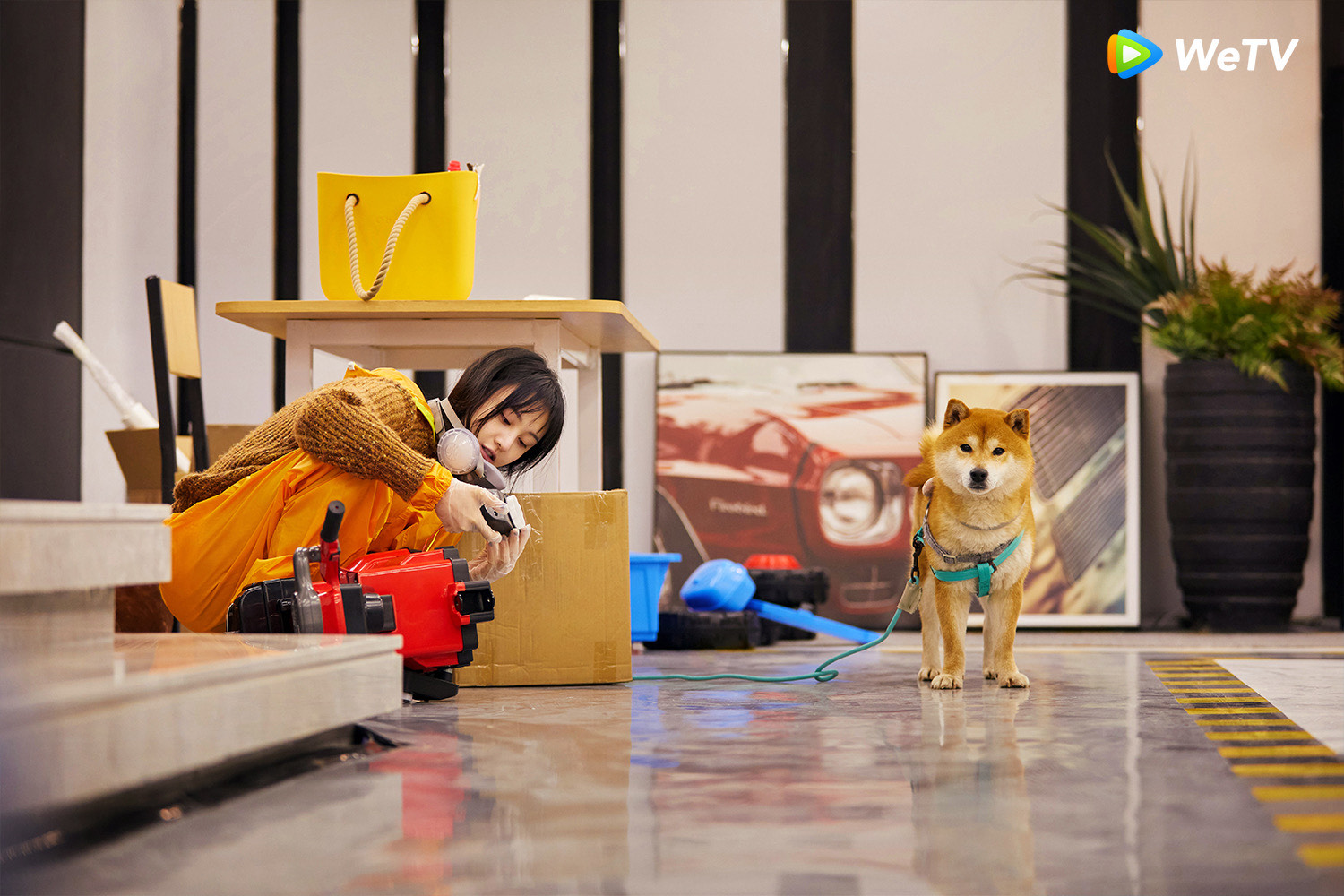 鄭爽參加節目《讓你生活好看》，嘗試獨居生活。（翻攝自WeTV）