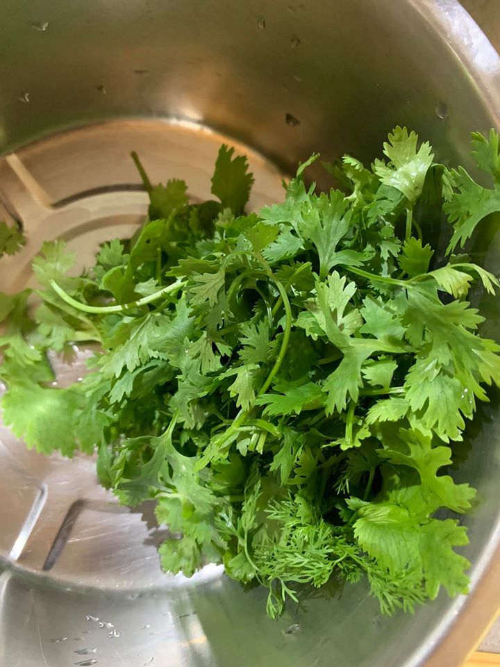 將香菜準備好。