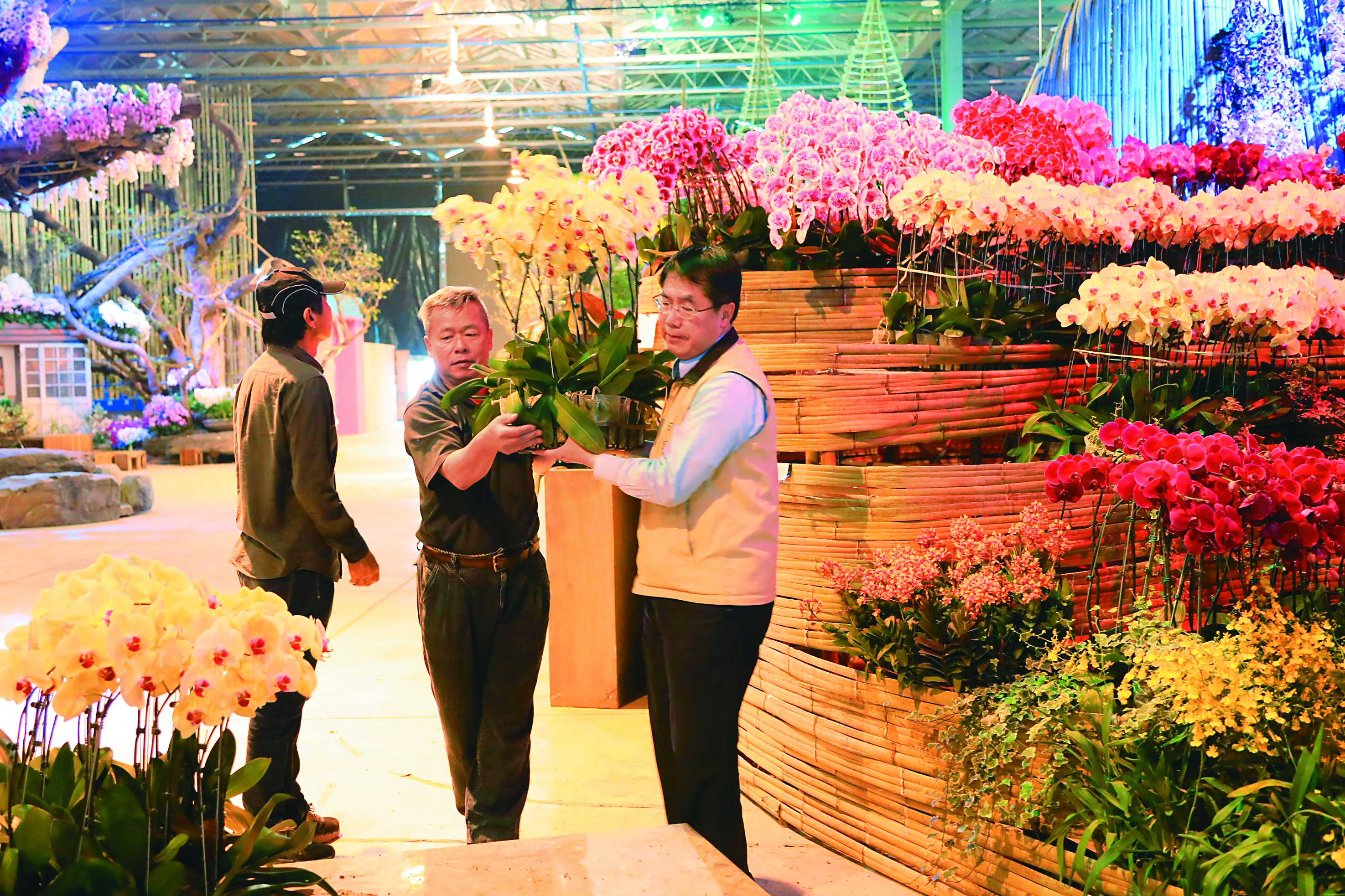 蘭展延期,佈展蘭花改以「遍地開花」形式展現,市長黃偉哲(右)親臨蘭展會場協助撤場。(臺南市政府新聞及國際關係處提供)