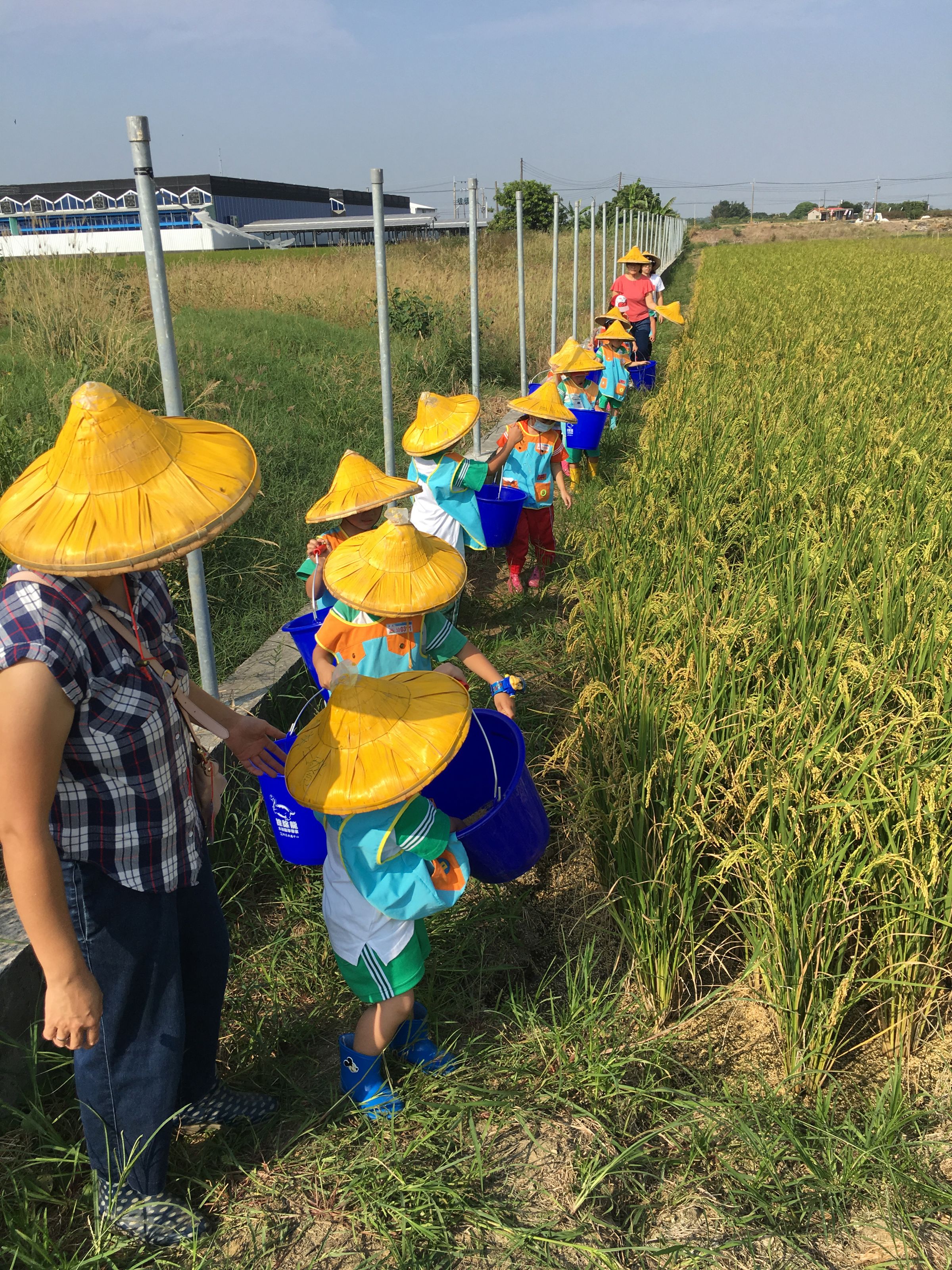 臺南市農業局與工研院合作推出「米蓮耕學蘭境漫旅」，透過耕學體驗，將蘭花產業結合白河後壁一帶農產與景點。