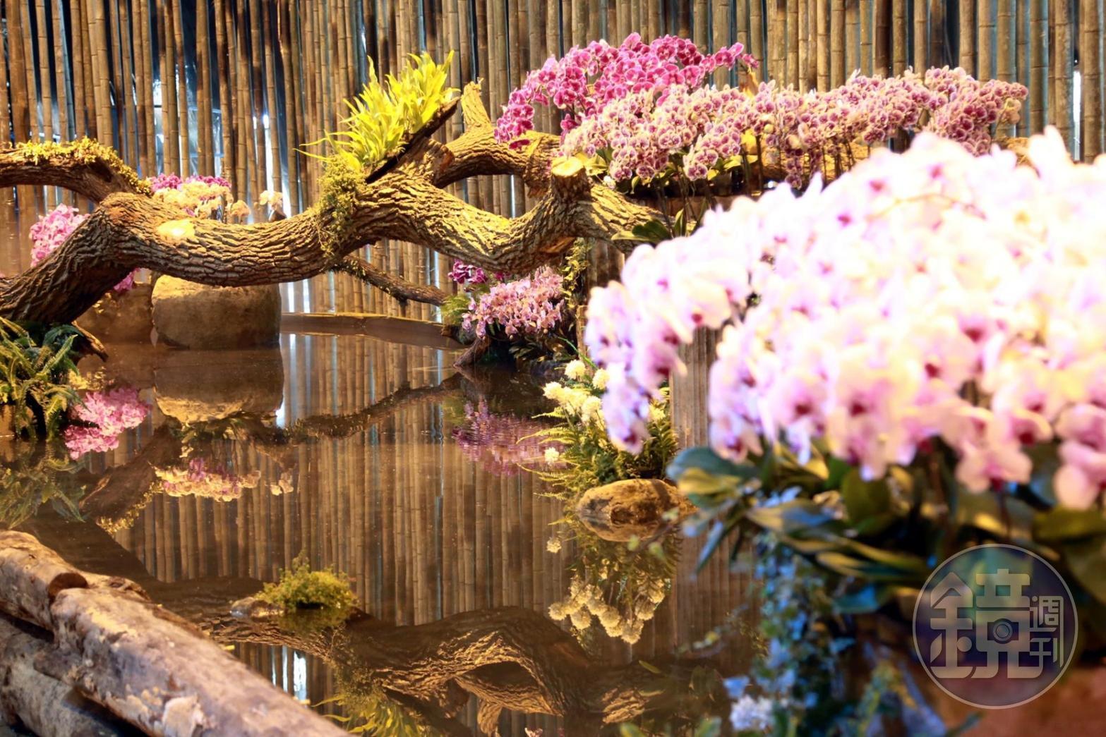 水景、花卉、倒影構成的景色，給民眾不同以往的看展新感受。