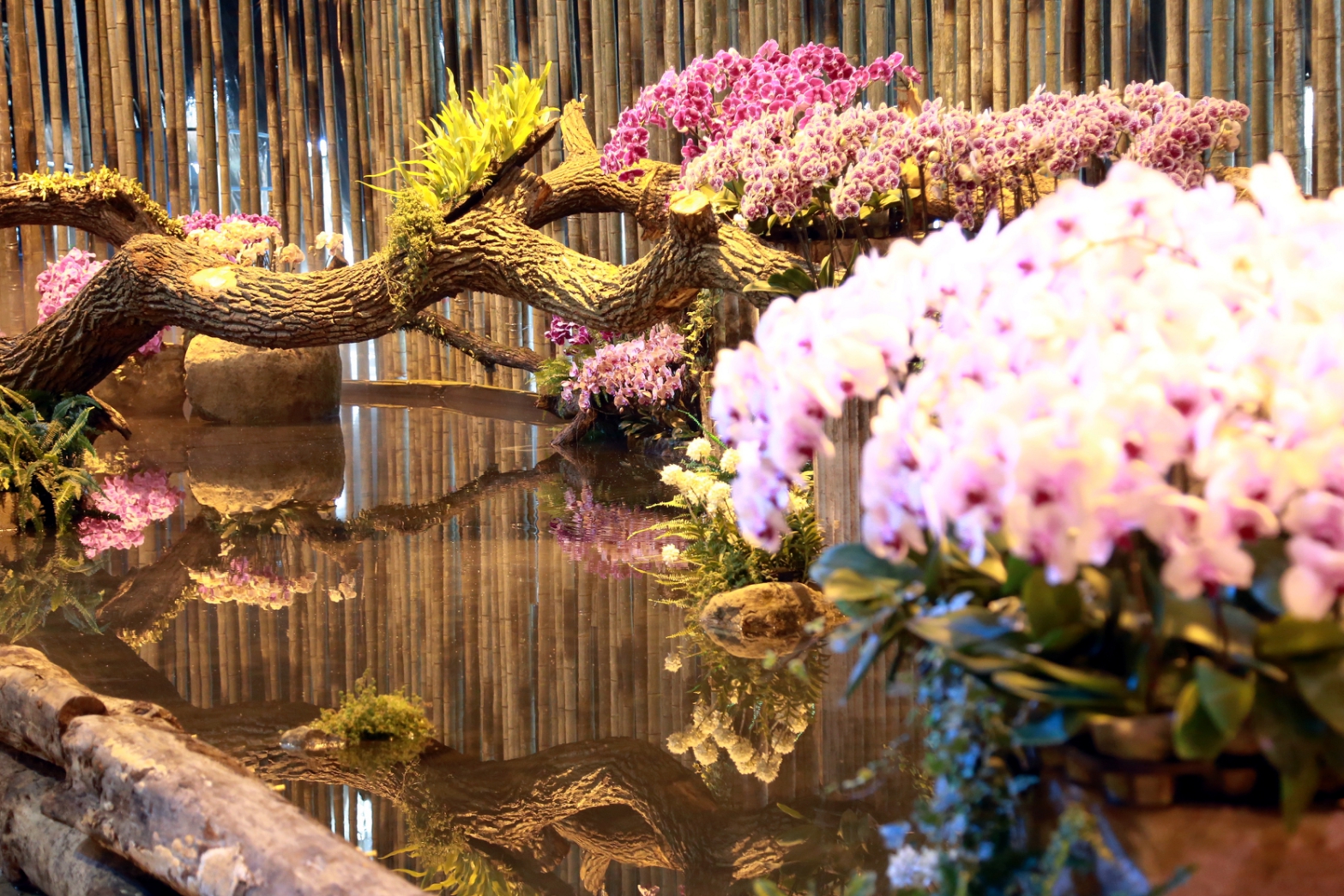 水景、花卉、倒影構成的景色，給民眾不同以往的看展新感受。