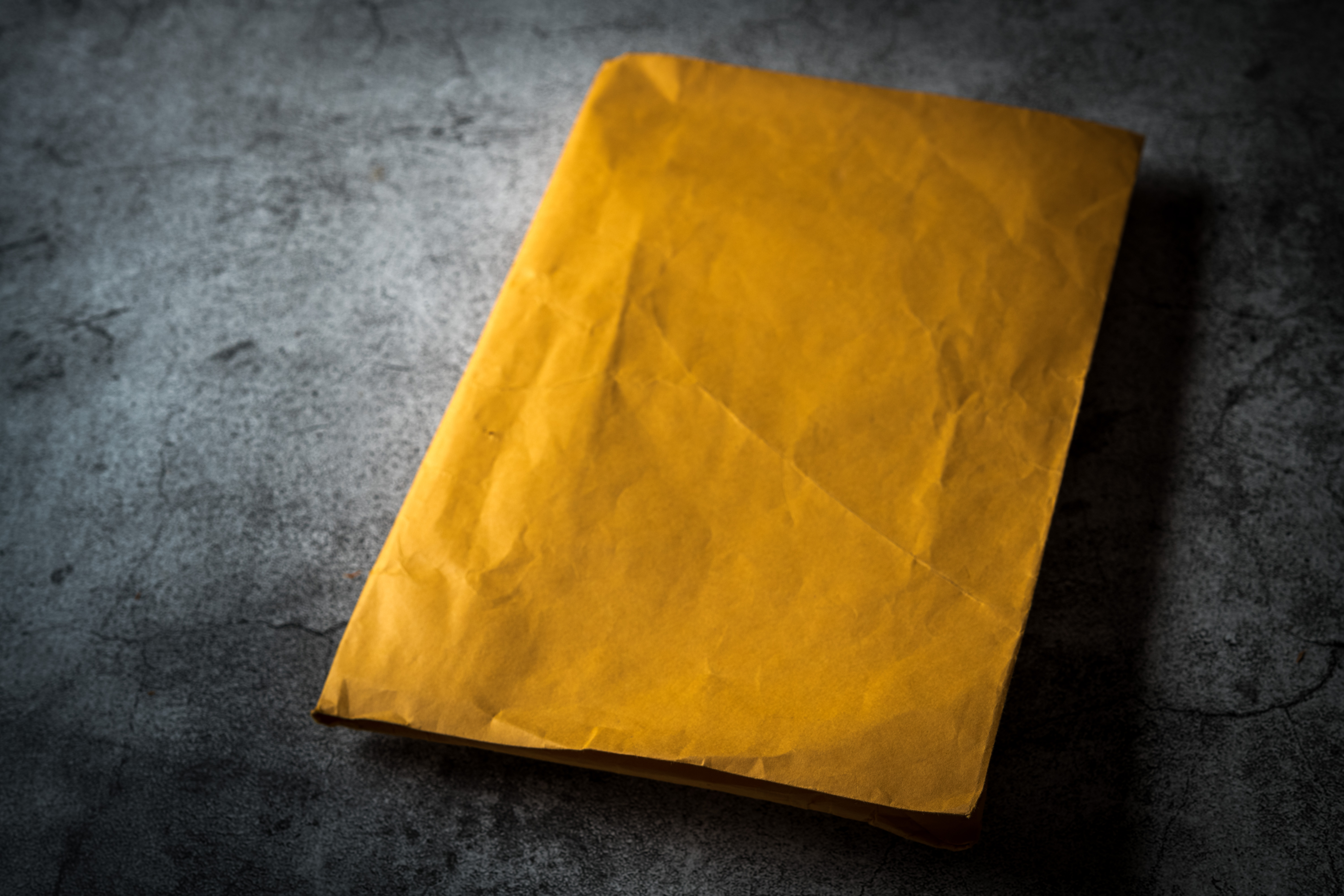 第一眼平淡無奇的牛皮紙袋裡面，竟是一本百年的俄國食譜。