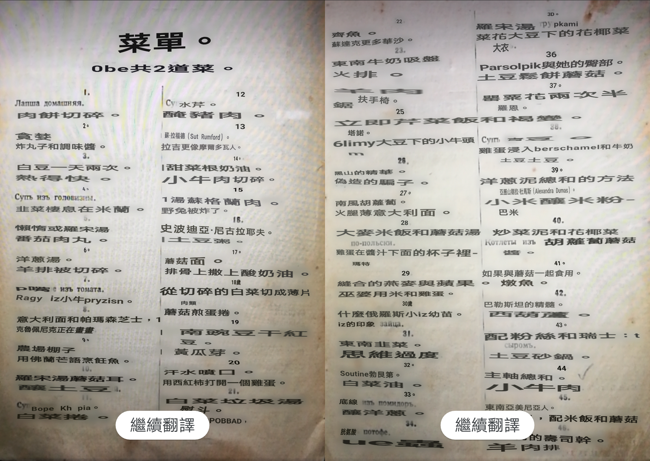 Google的翻譯，雖不精確，拿來看個大概也夠用了。