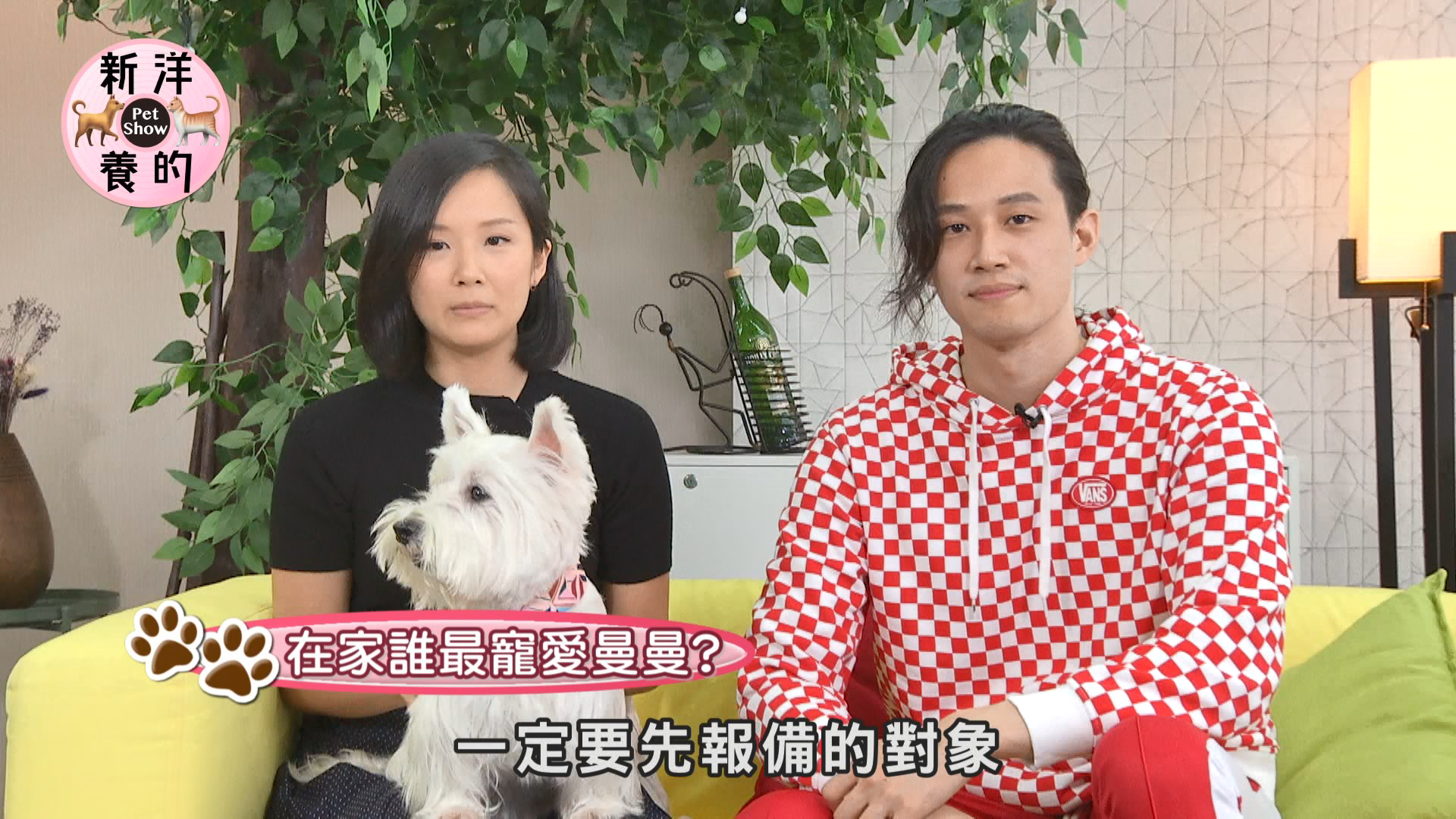 徐新洋最近開始經營YouTube節目《新洋養的》，特別邀請首度曝光的妹妹Sabrina帶著徐家愛犬曼曼上節目。（媒體棧提供）