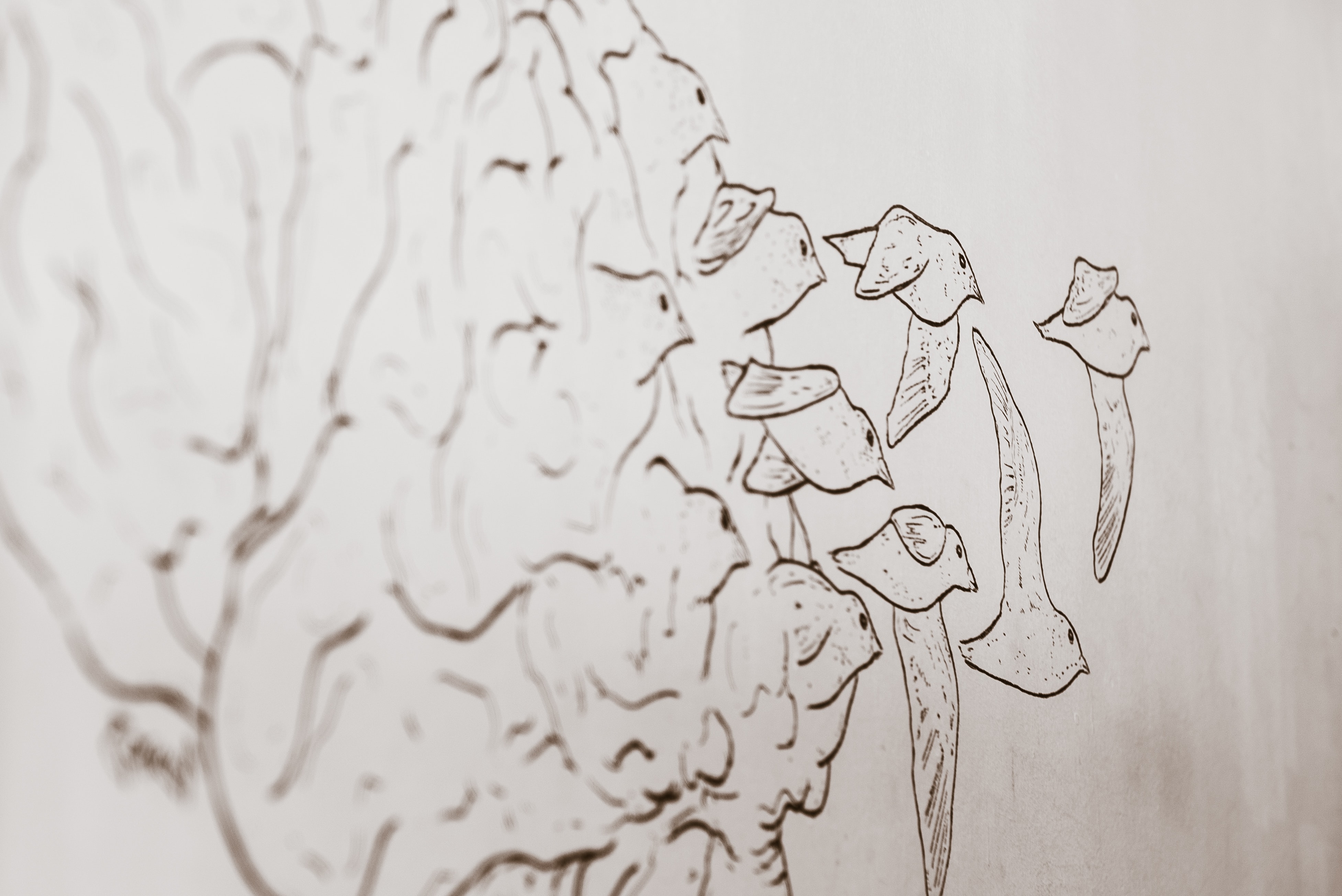 上一集提到犯罪人的外型與體格，如何幫助早期的犯罪學家研究犯罪人與犯罪行為。這集我們進入內部心智運作，早期希臘哲學家認為，腦袋裡有一個小小外星人主導著人的行為，原始人也認為犯罪人的腦殼裡藏有惡魔，近代，我們通過fMRI觀測腦部血流或是腦活動的變化，進而研究與犯罪的關聯細一起來聽聽這集的《犯罪心理學大解析》。 （Pixabay）