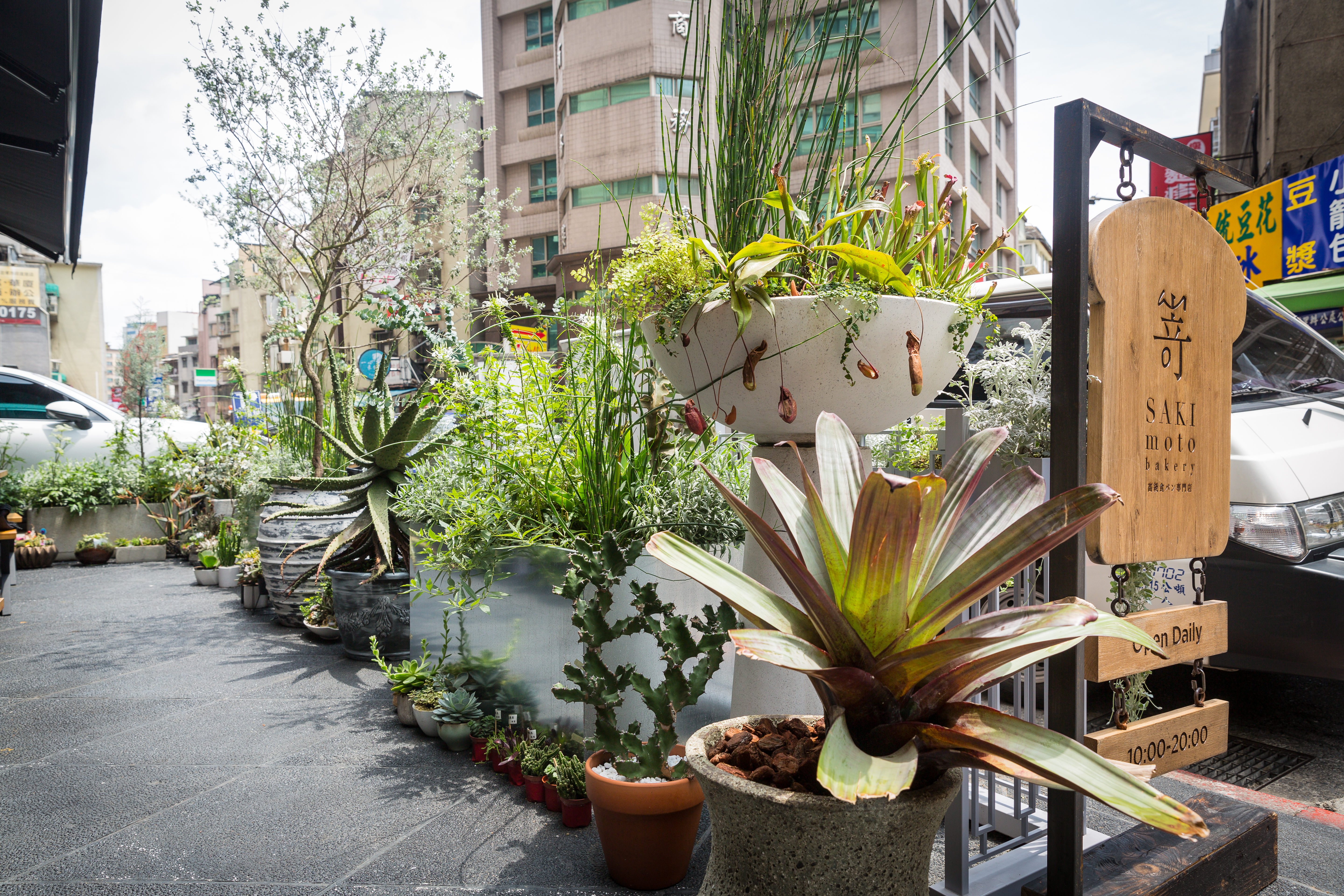 嵜本門口擺放許多多肉盆栽，營造出悠閒氛圍。