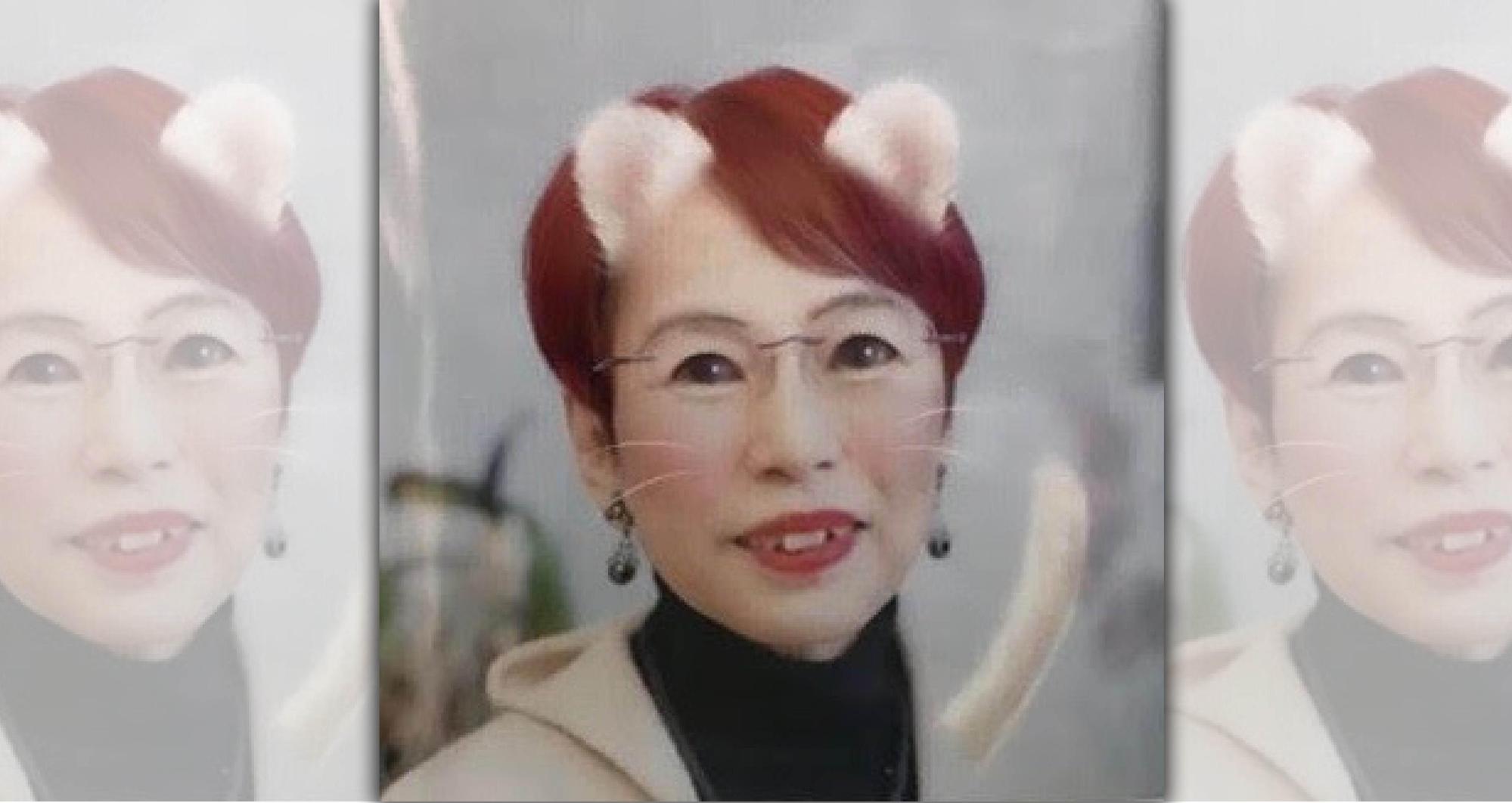 (WAN官網)